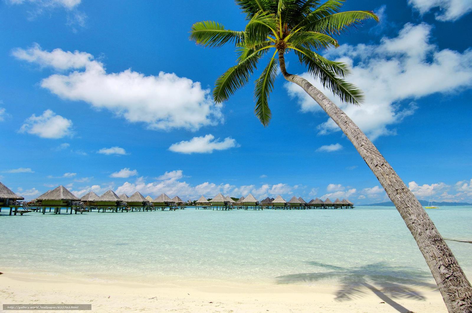 Download Wallpaper Bora Bora, Polinesia, Sea, Palm - Beach - HD Wallpaper 