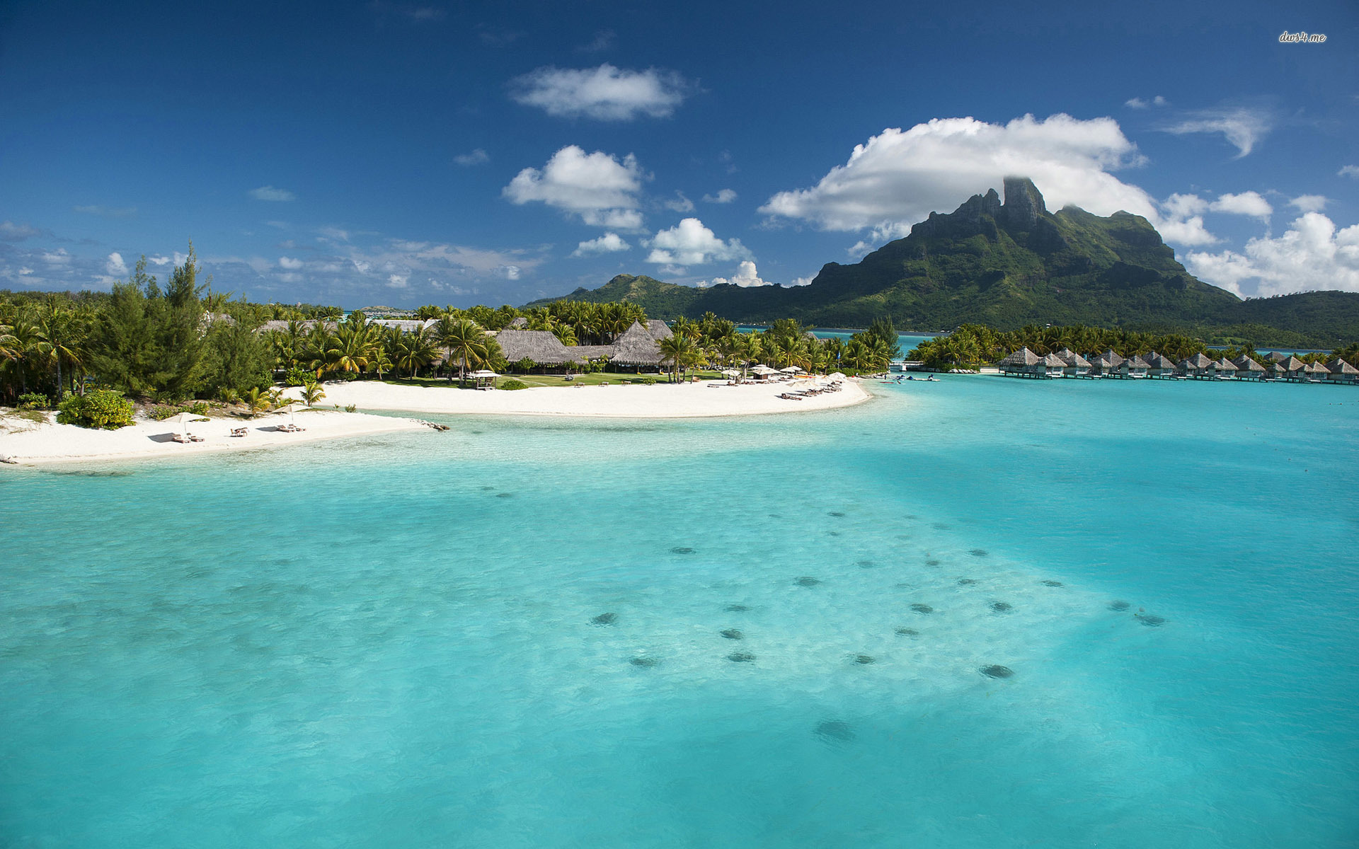 St Regis Bora Bora - HD Wallpaper 