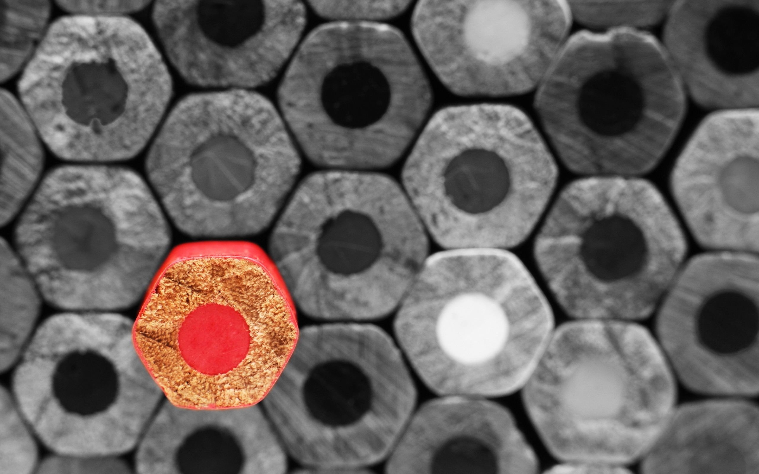 Standout From The Rest - HD Wallpaper 