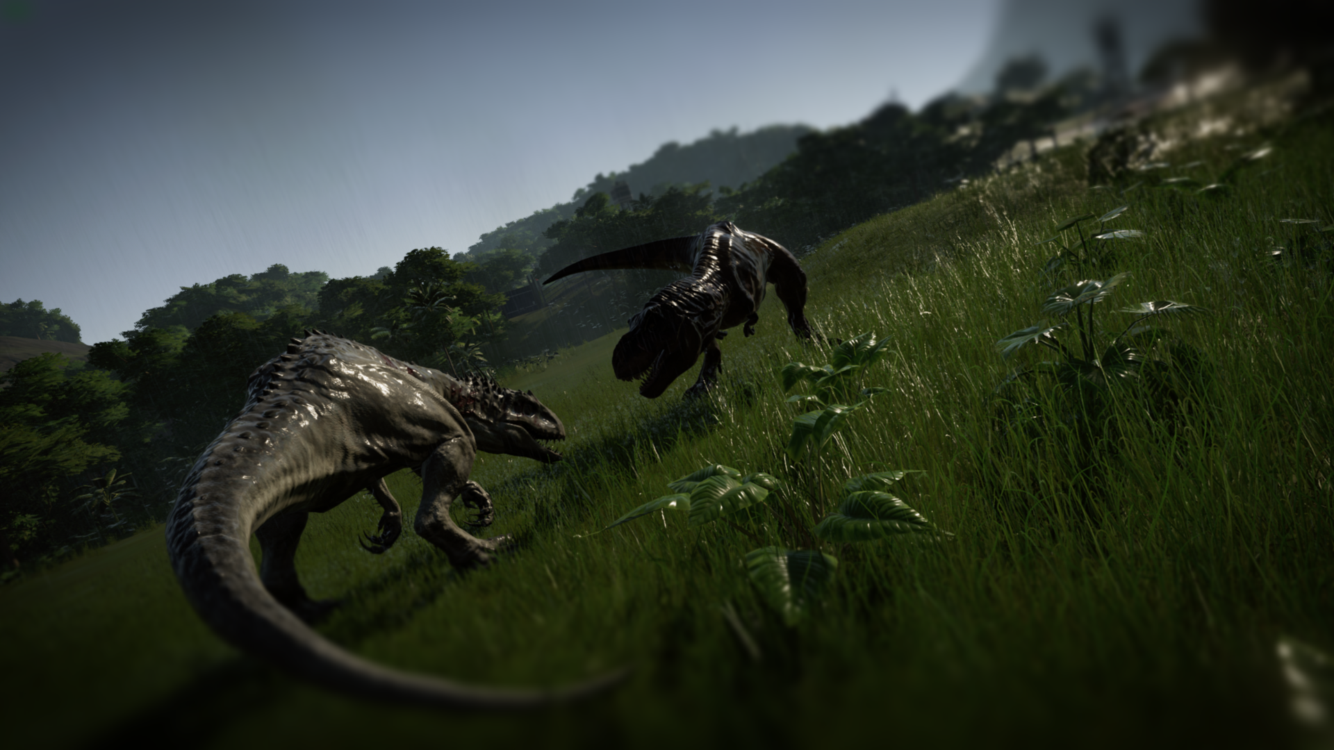 Dragon - HD Wallpaper 