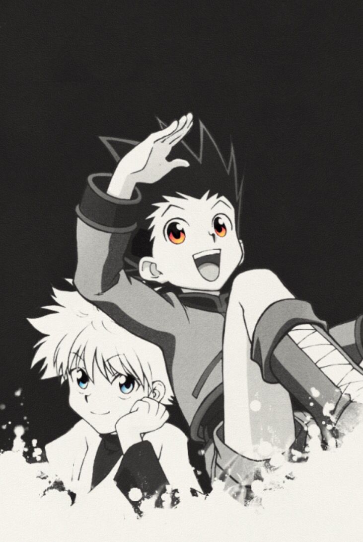 Gon And Killua Wallpaper Iphone 731x1090 Wallpaper Teahub Io