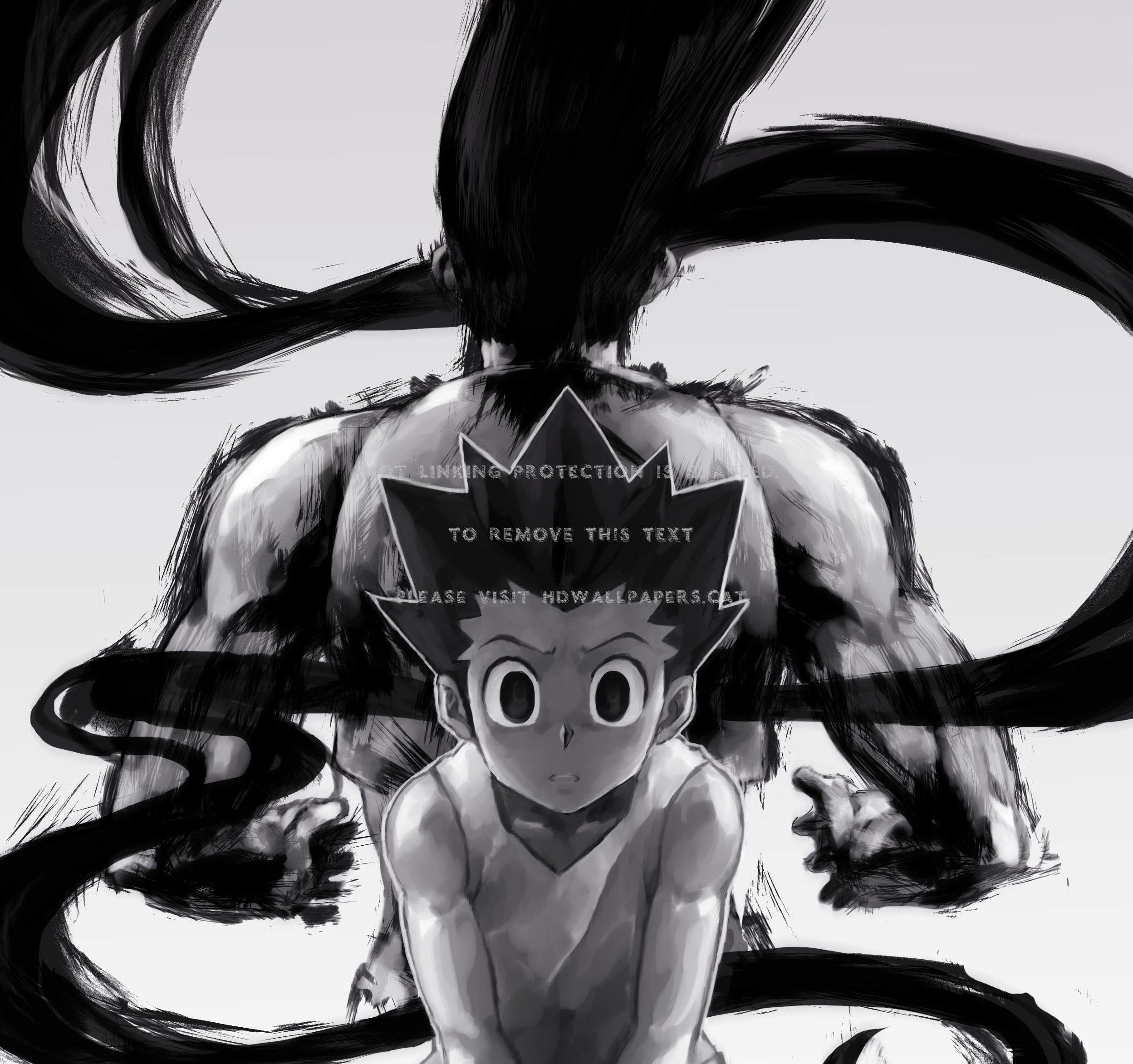 Sacrifice Gon Freecss Enhancer Nen User X - Hunter X Hunter Wallpaper Phone - HD Wallpaper 