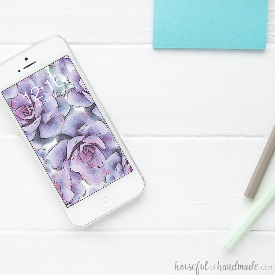 Cell Phone With A Purple Succulent Digital Wallpaper - Smartphone - HD Wallpaper 