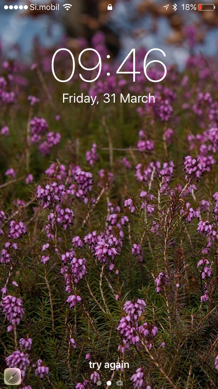 Spring Iphone Wallpaper Free - HD Wallpaper 