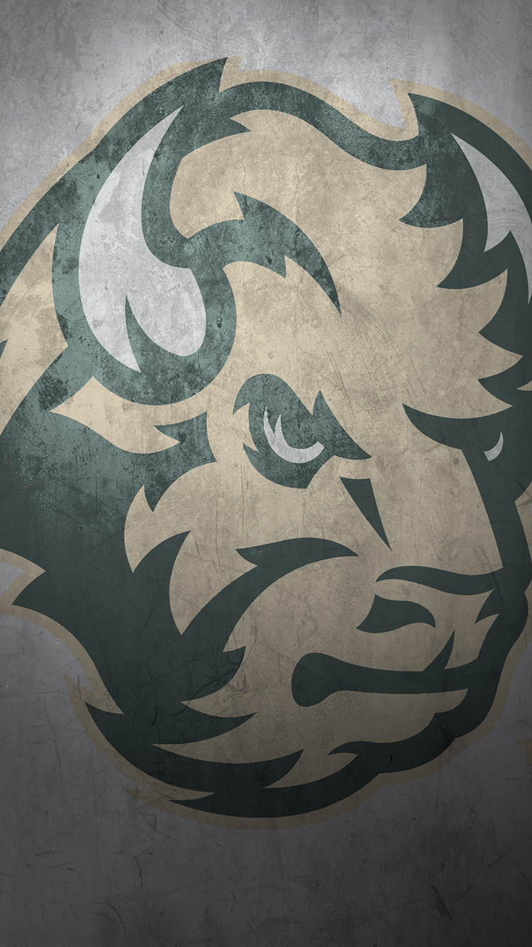 Ndsu Bison - HD Wallpaper 