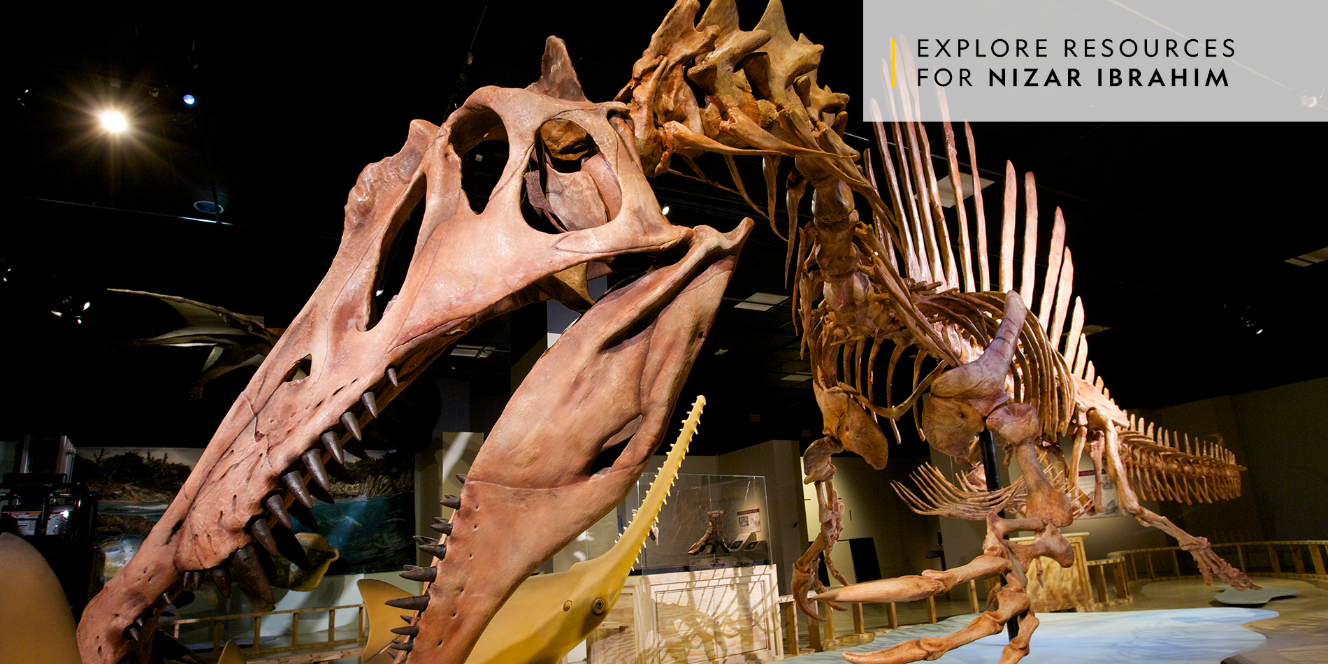 Museum - HD Wallpaper 