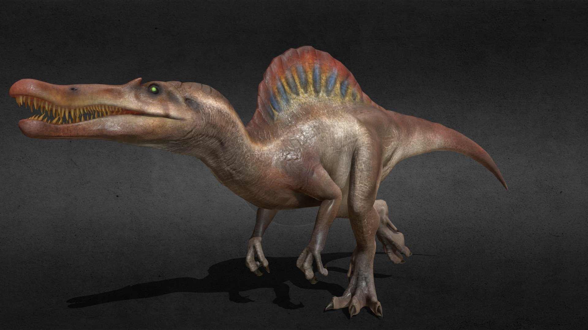 Velociraptor - HD Wallpaper 