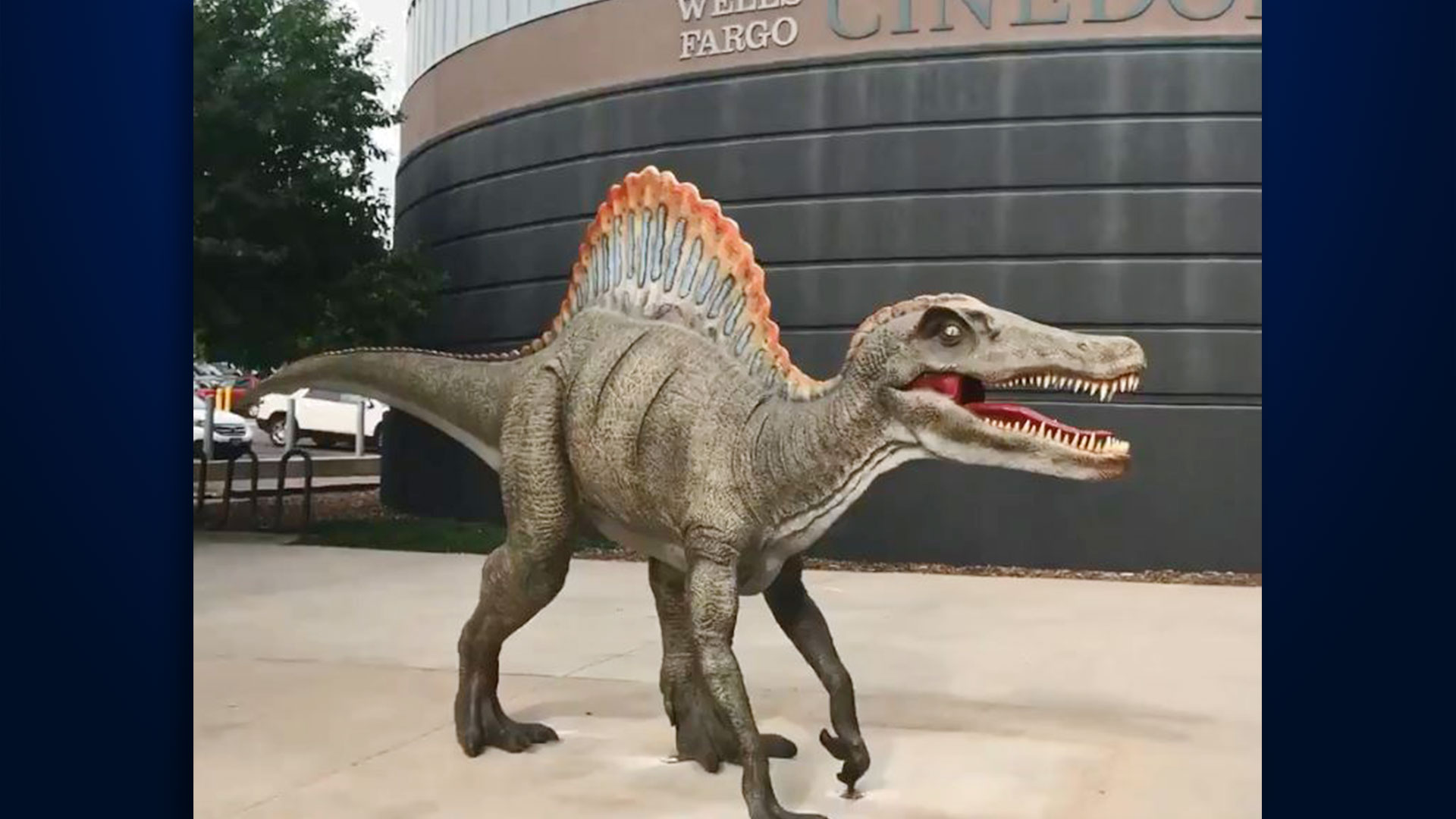 Velociraptor - HD Wallpaper 