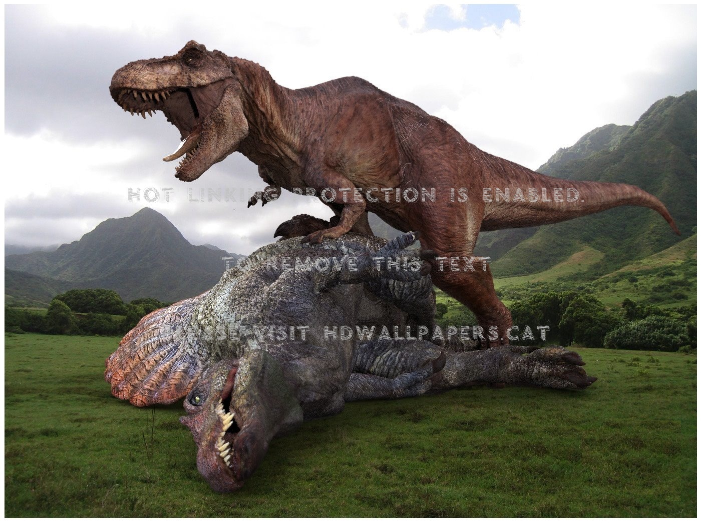 Tyrannosaurus Rex Vs - T Rex Vs Spinosauro - HD Wallpaper 