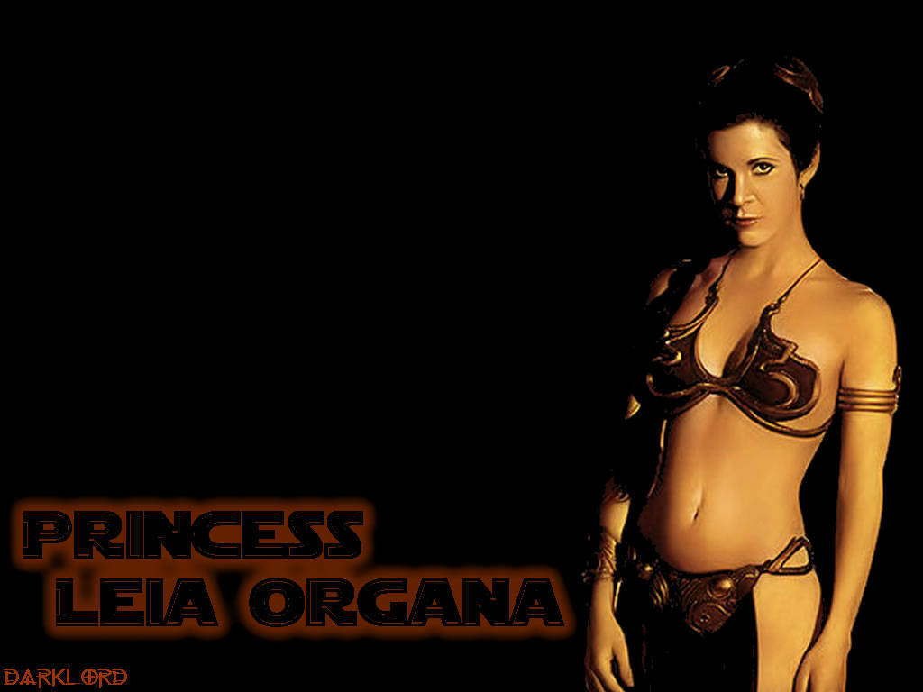Han Solo - Fondos De Pantalla Star Wars Leia - HD Wallpaper 