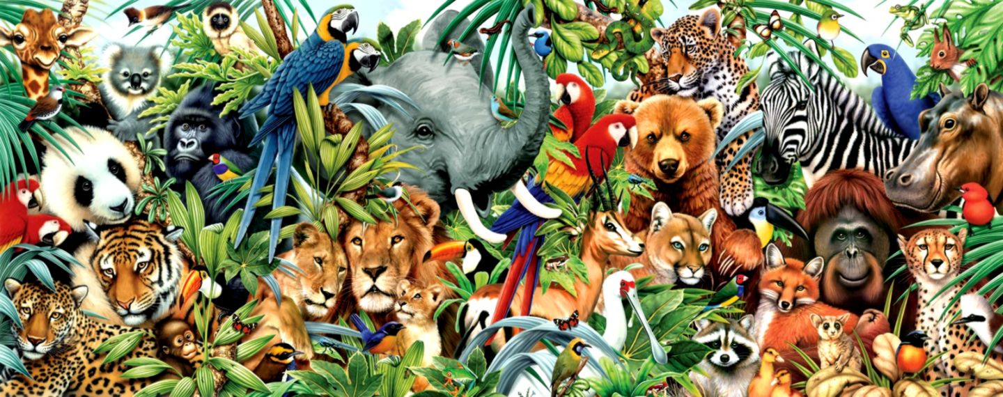 Jungle Animal Wallpaper Wallpapersafari Jungle Animal 1440x570