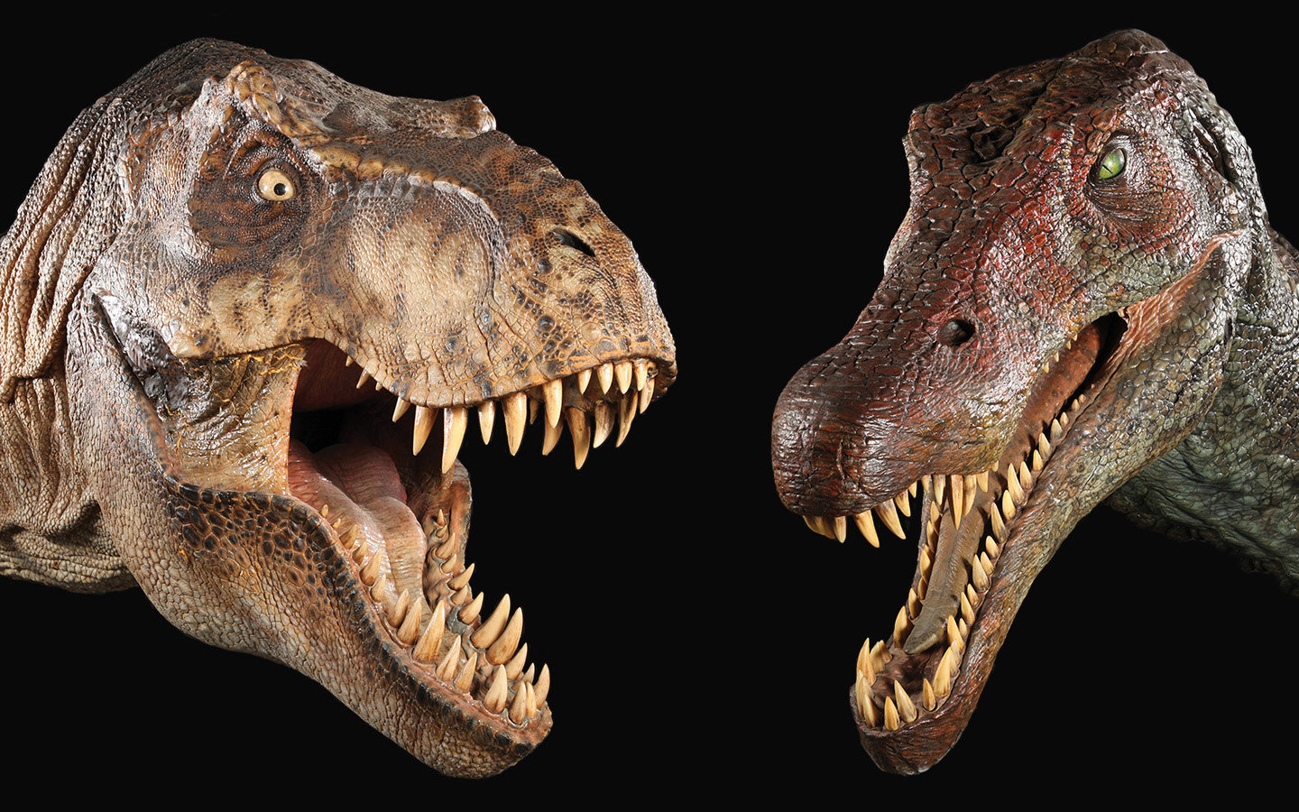 High Resolution Dinosaur Hd Background Id - Jurassic Park Tyrannosaurus Rex Head - HD Wallpaper 