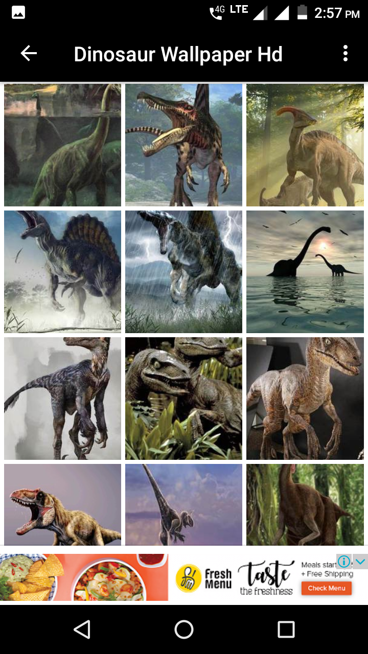 Wallpaper - HD Wallpaper 