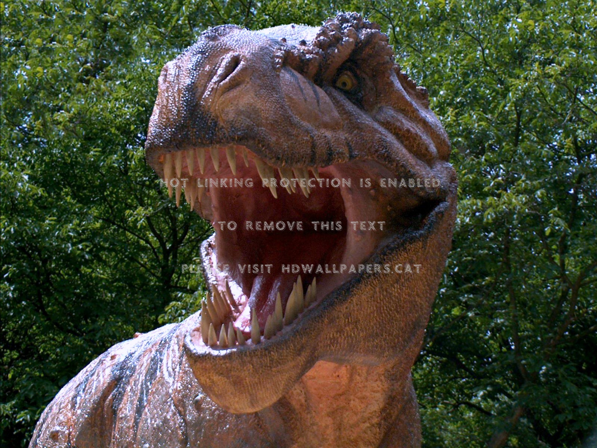 T-rex Trees Dinosaurs Teeth Animals - T Rex Face Front - HD Wallpaper 