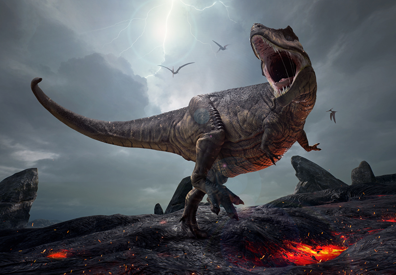 Tyrannosaurus Rex - HD Wallpaper 