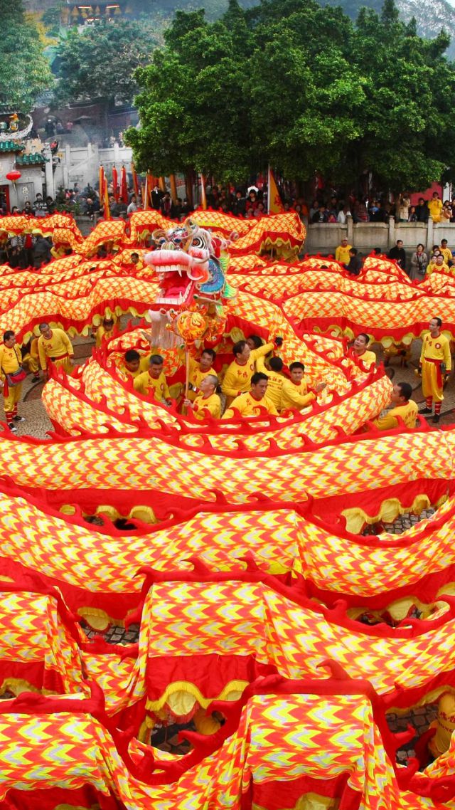 Chinese New Year, Spring Festival, Dragon, Orange - Chinese New Year Parade Dragon - HD Wallpaper 