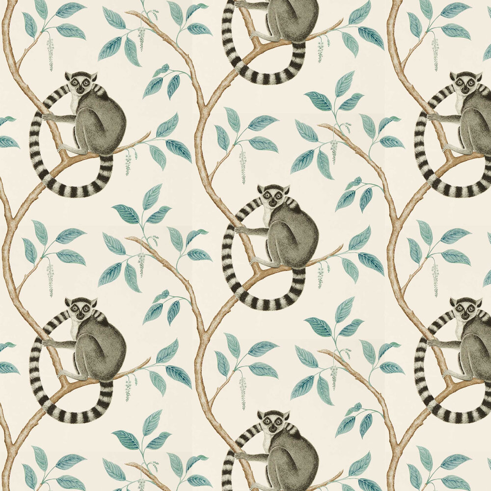 Sanderson Ringtail Lemur - HD Wallpaper 