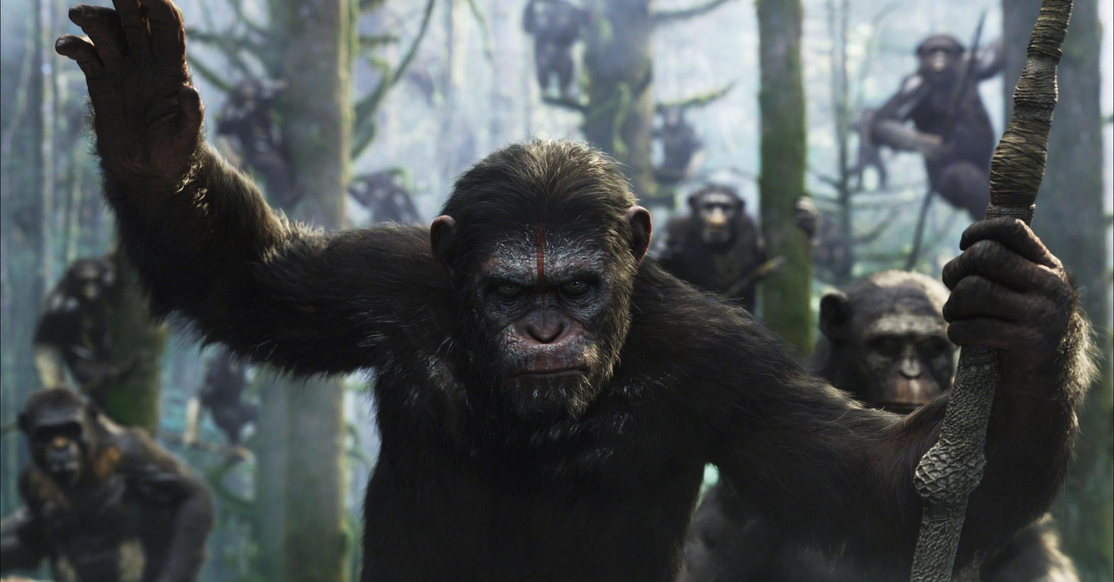 Dawn Of The Planet Of The Apes Pics, Movie Collection - HD Wallpaper 