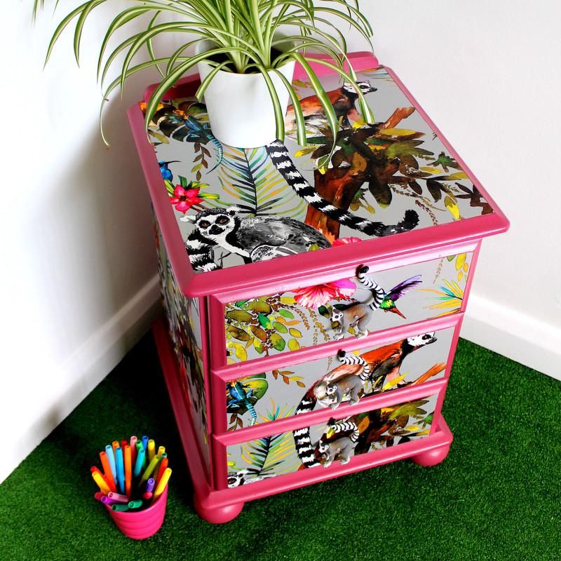 Lemur Wallpaper Furniture - HD Wallpaper 