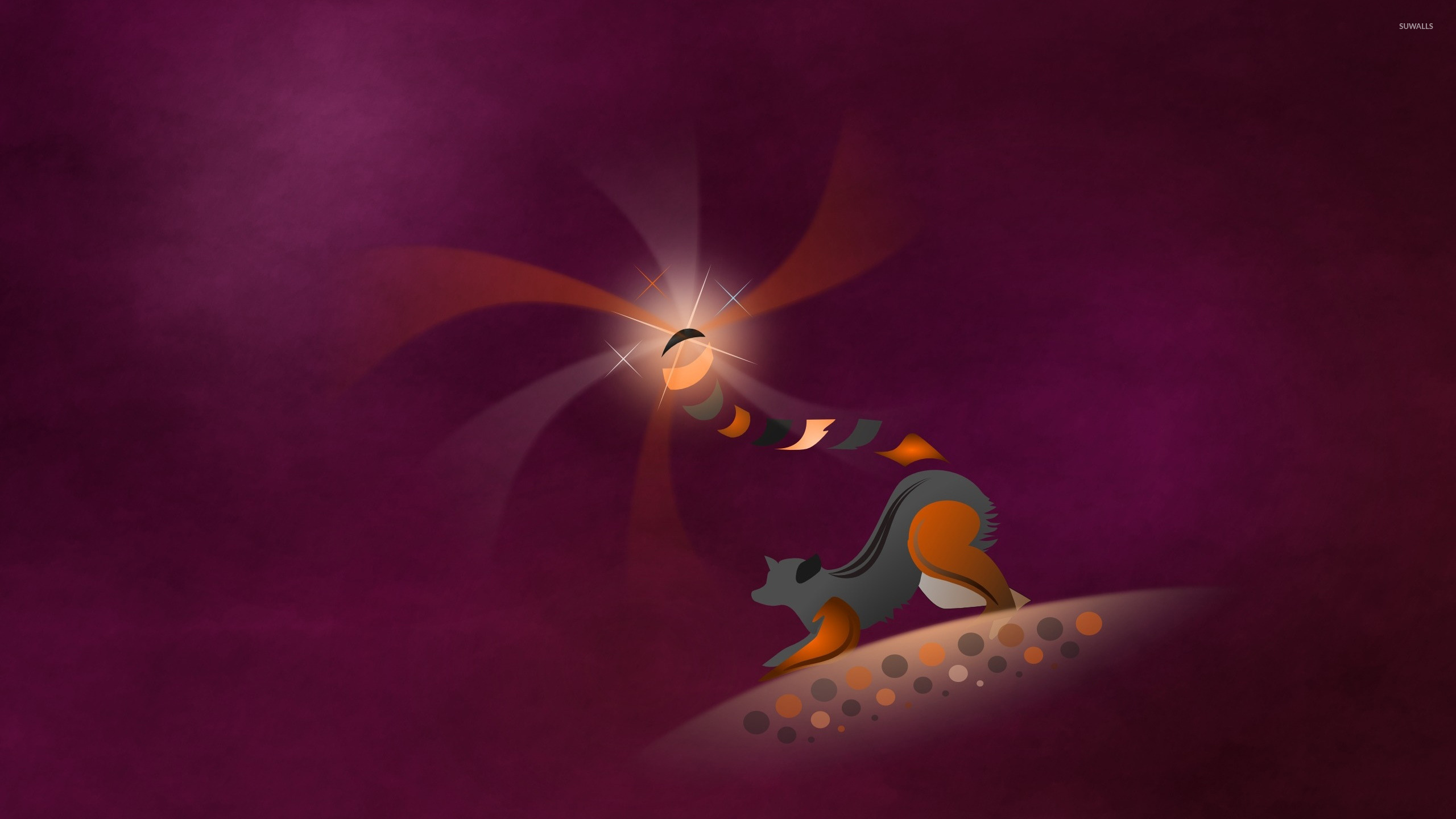 Raring Ringtail Ubuntu - HD Wallpaper 