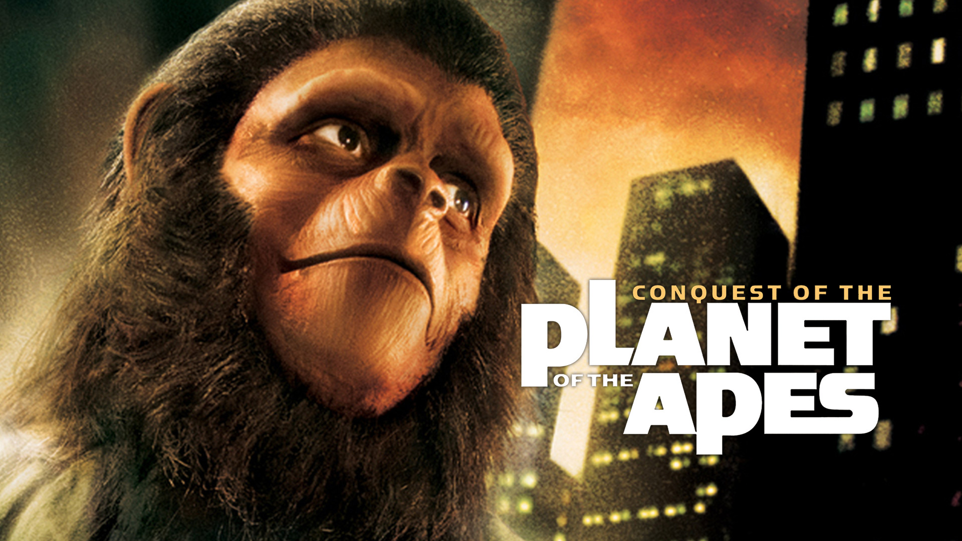 Planet Of The Apes 1968 1920x1080 Wallpaper Teahub Io
