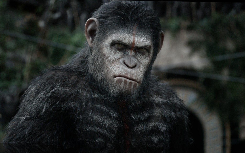 Planet Of The Apes 2019 - HD Wallpaper 