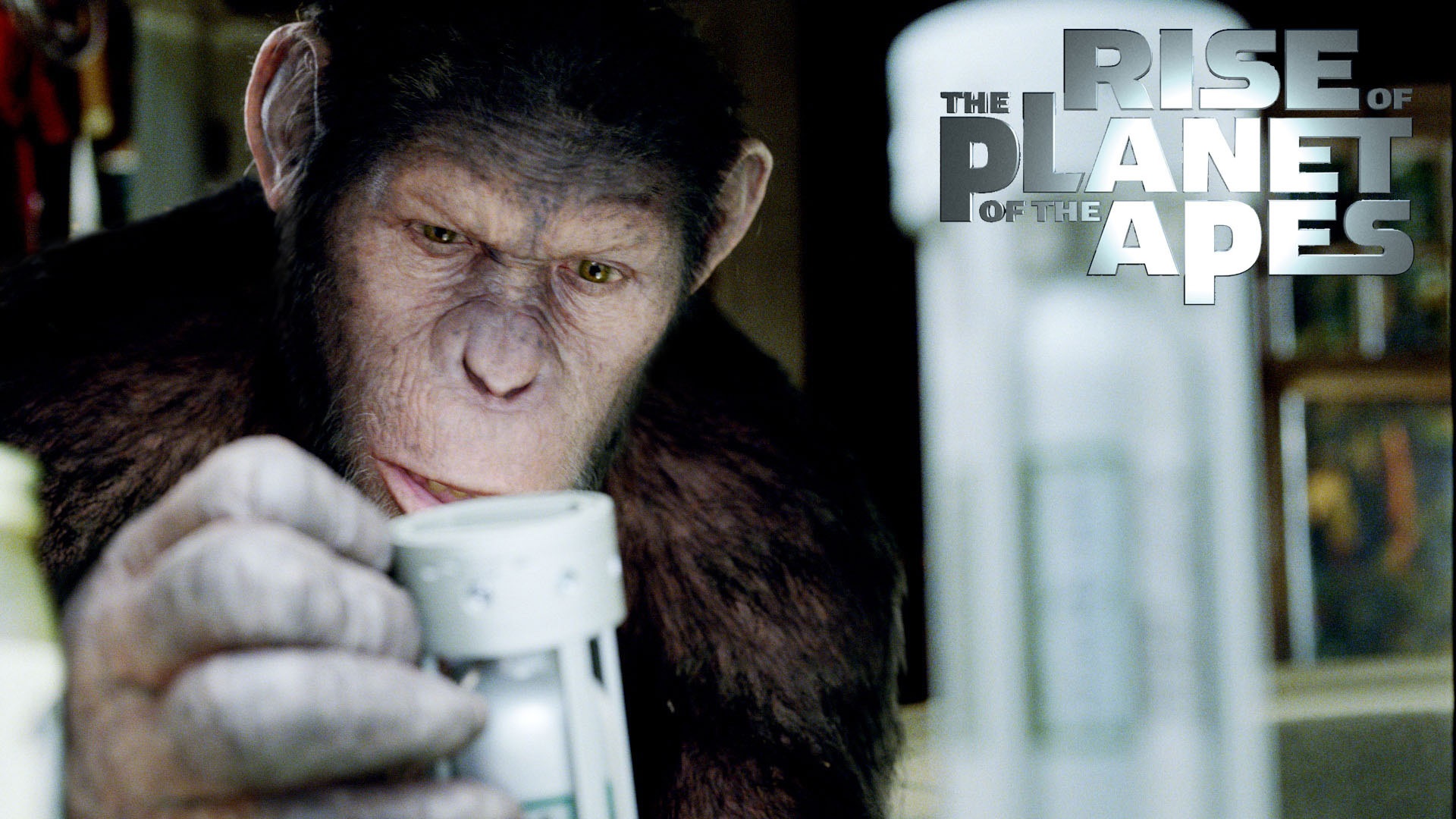 Simian Flu Cell - HD Wallpaper 