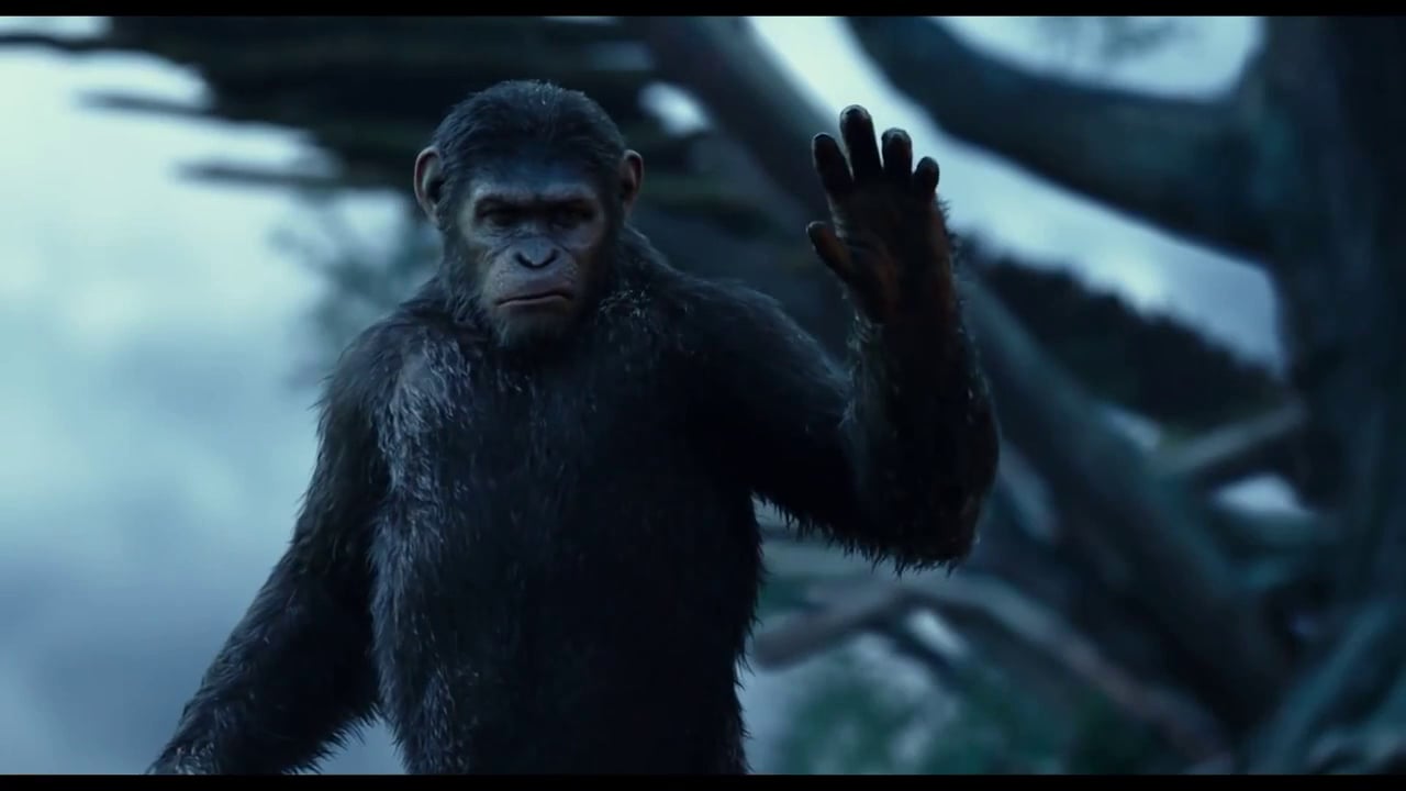 Dawn Of The Planet Of The Apes Screencaps - HD Wallpaper 