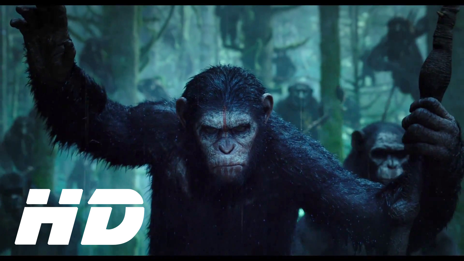 Caesar Planet Of The Apes - HD Wallpaper 