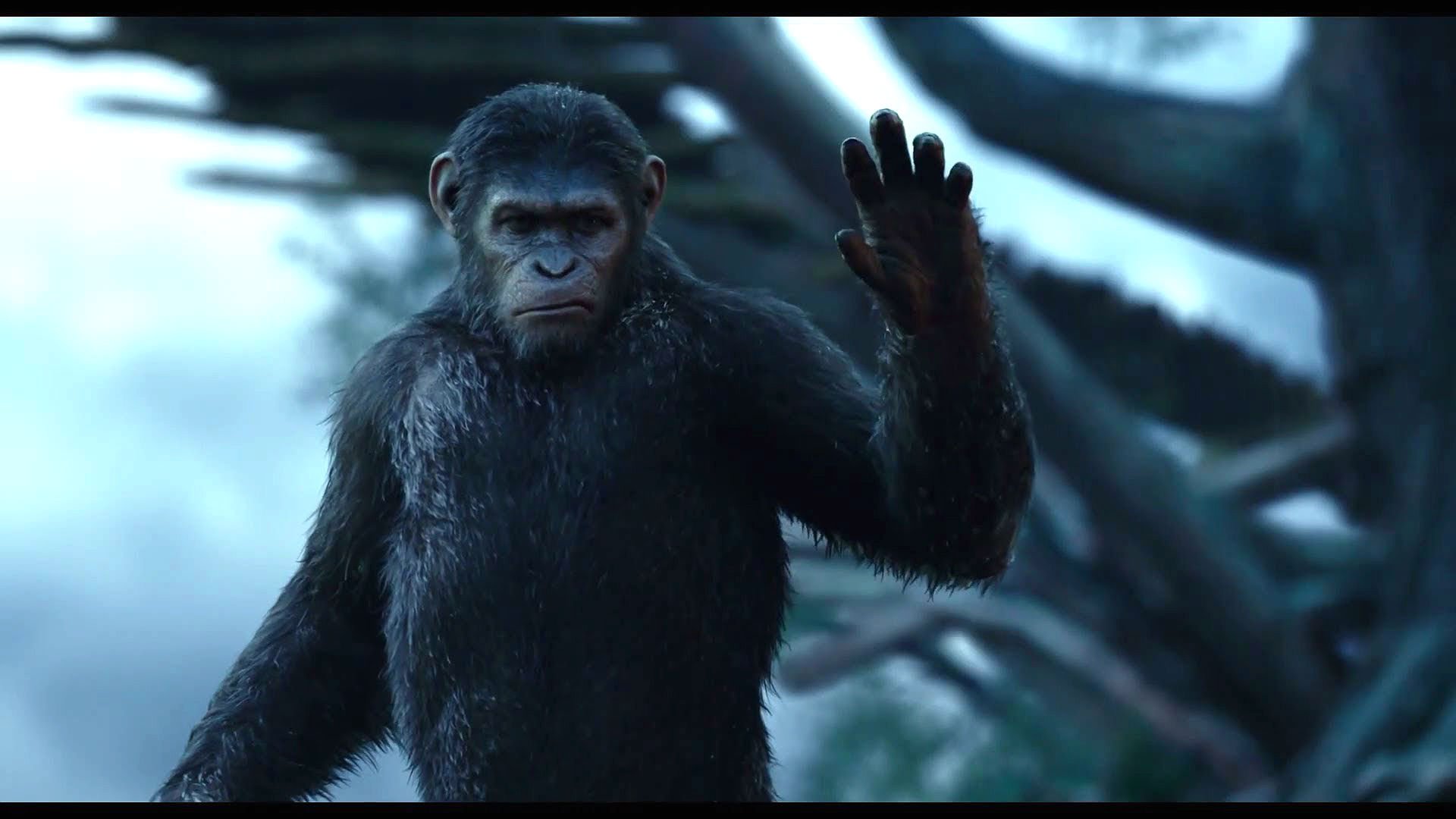 Dawn Of The Apes Action Drama Sci Fi Dawn Planet Apes - Dawn Of The Planet Of The Apes Screencaps - HD Wallpaper 