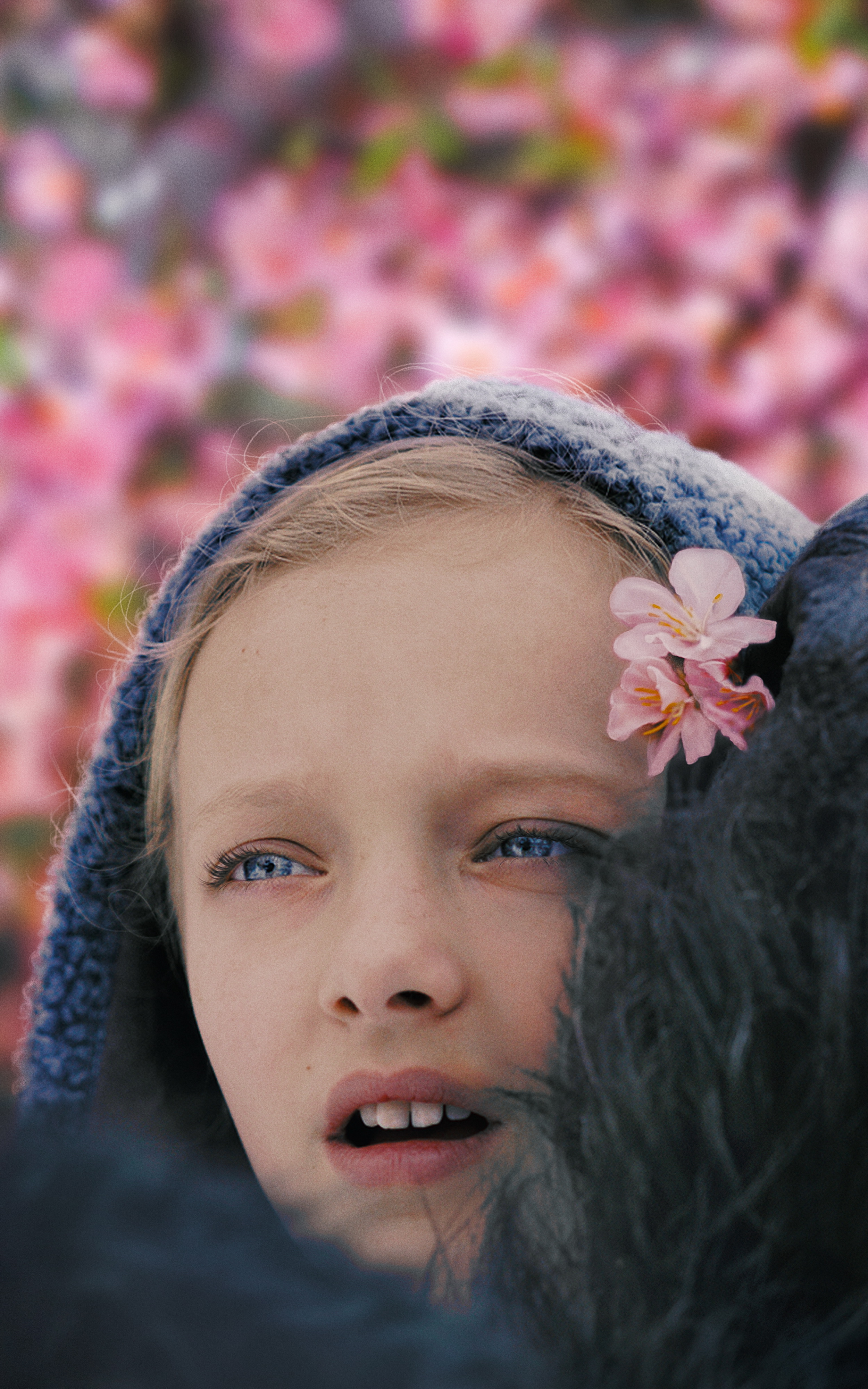 War For The Planet Of The Apes - HD Wallpaper 