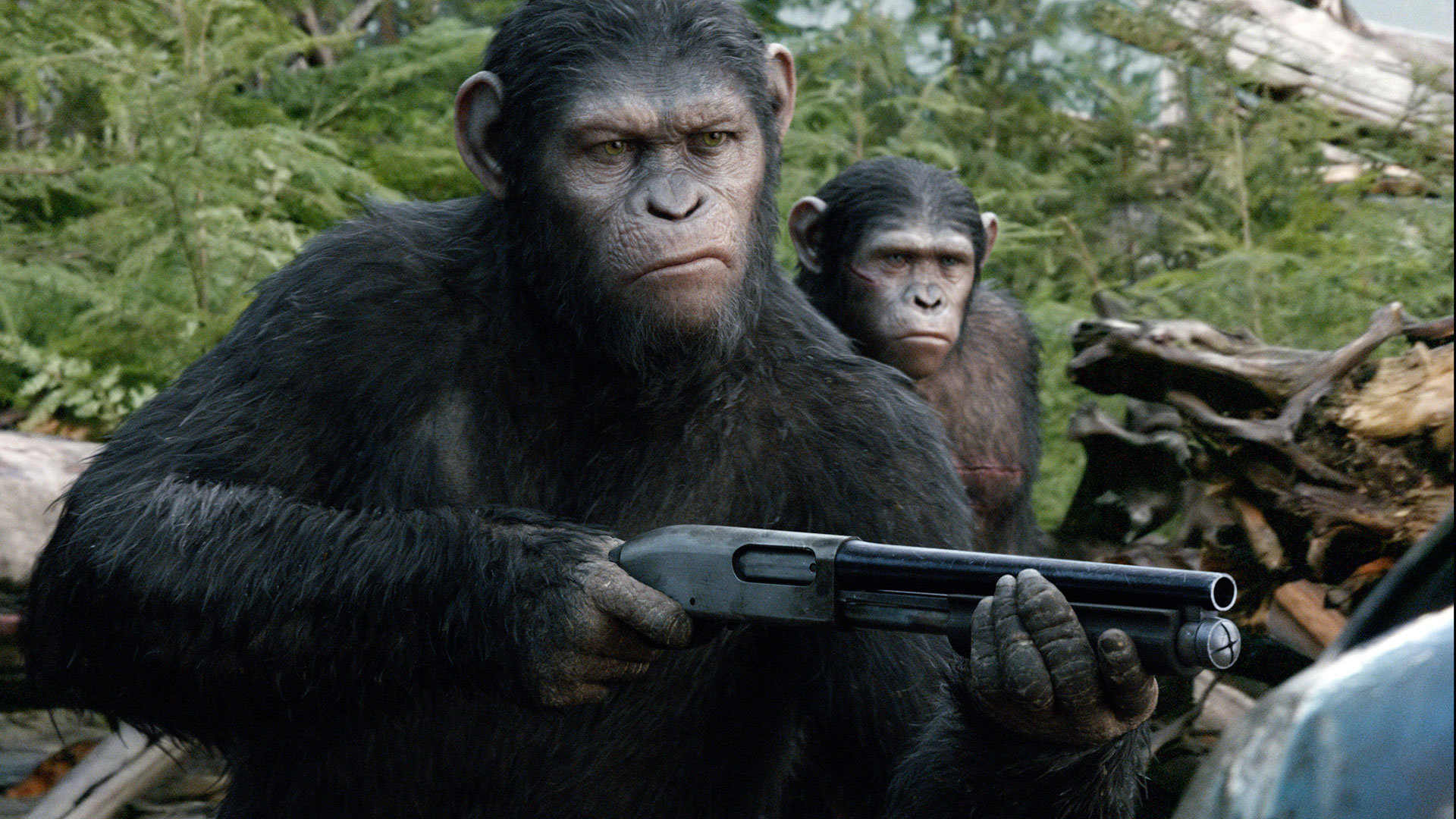 Free Download Dawn Of The Planet Of The Apes Wallpaper - Dawn Of The Planet Of The Apes - HD Wallpaper 
