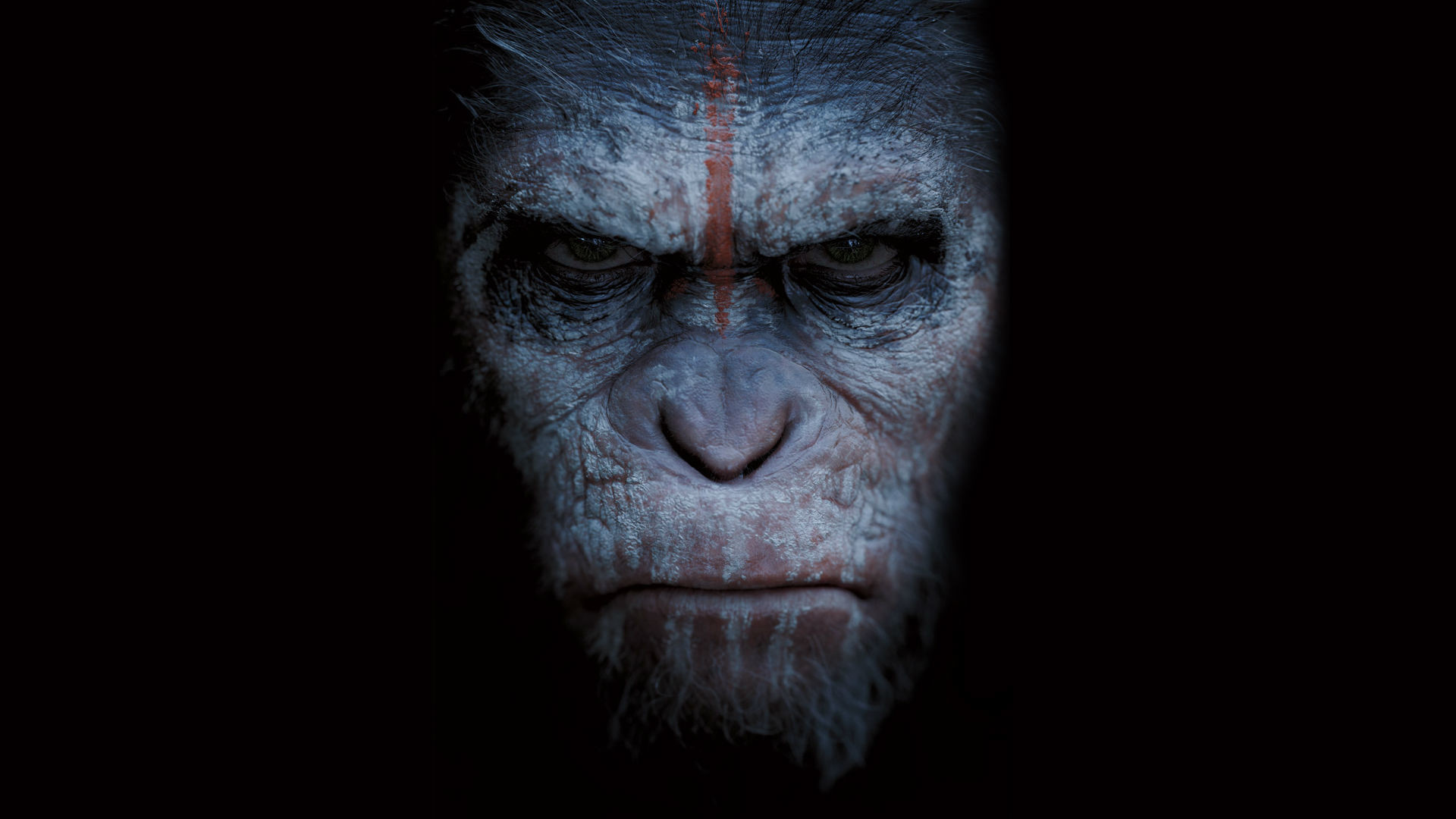 Dawn Of The Planet Of The Apes - HD Wallpaper 