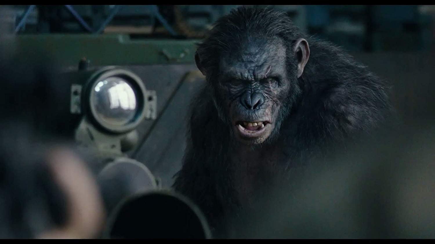 Posterhouzz Movie Dawn Of The Planet Of The Apes Hd - Koba Planet Of The Apes - HD Wallpaper 