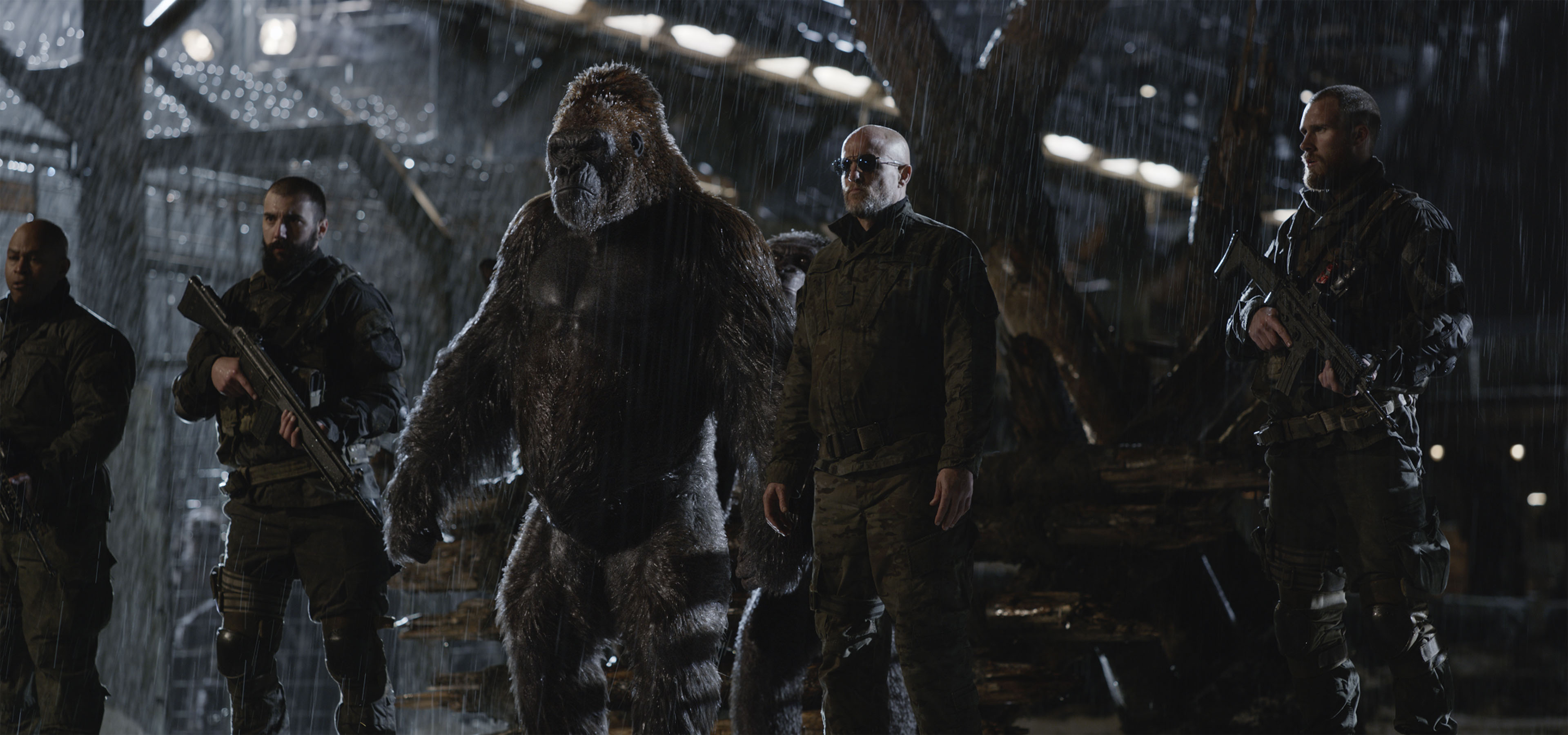 War For The Planet Of The Apes Ty Olsson - HD Wallpaper 