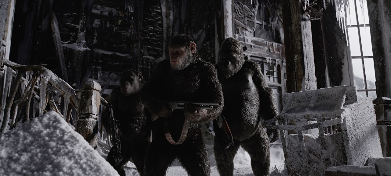 War For The Planet Of The Apes Meeting Bad Ape - HD Wallpaper 