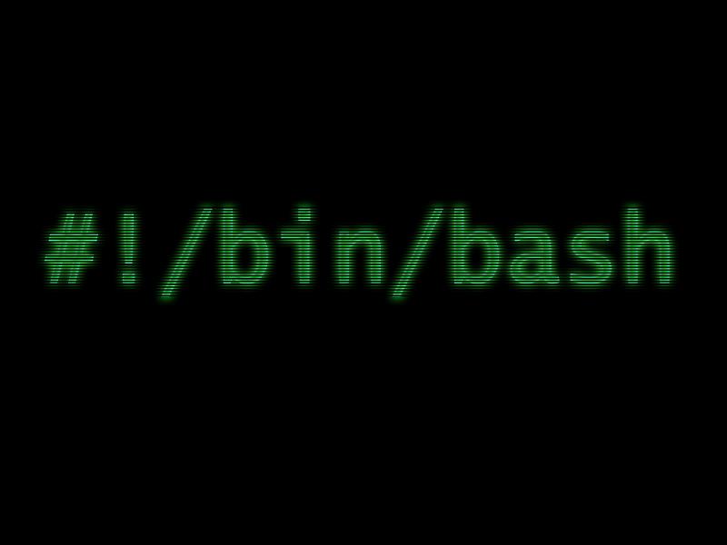 Bash - Bin Bash - HD Wallpaper 