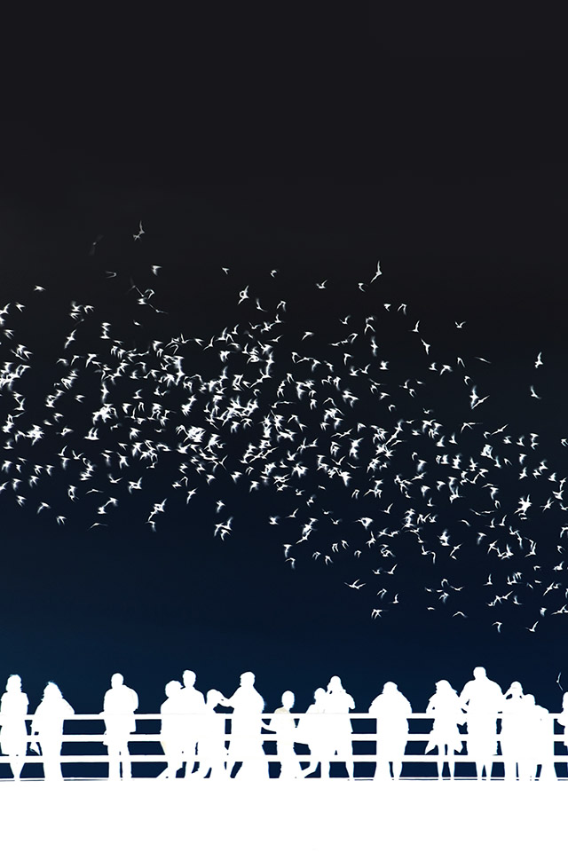 Com Apple Wallpaper Austin Texas Nightlife Iphone4 - Phone Wallpapers Austin Tx - HD Wallpaper 