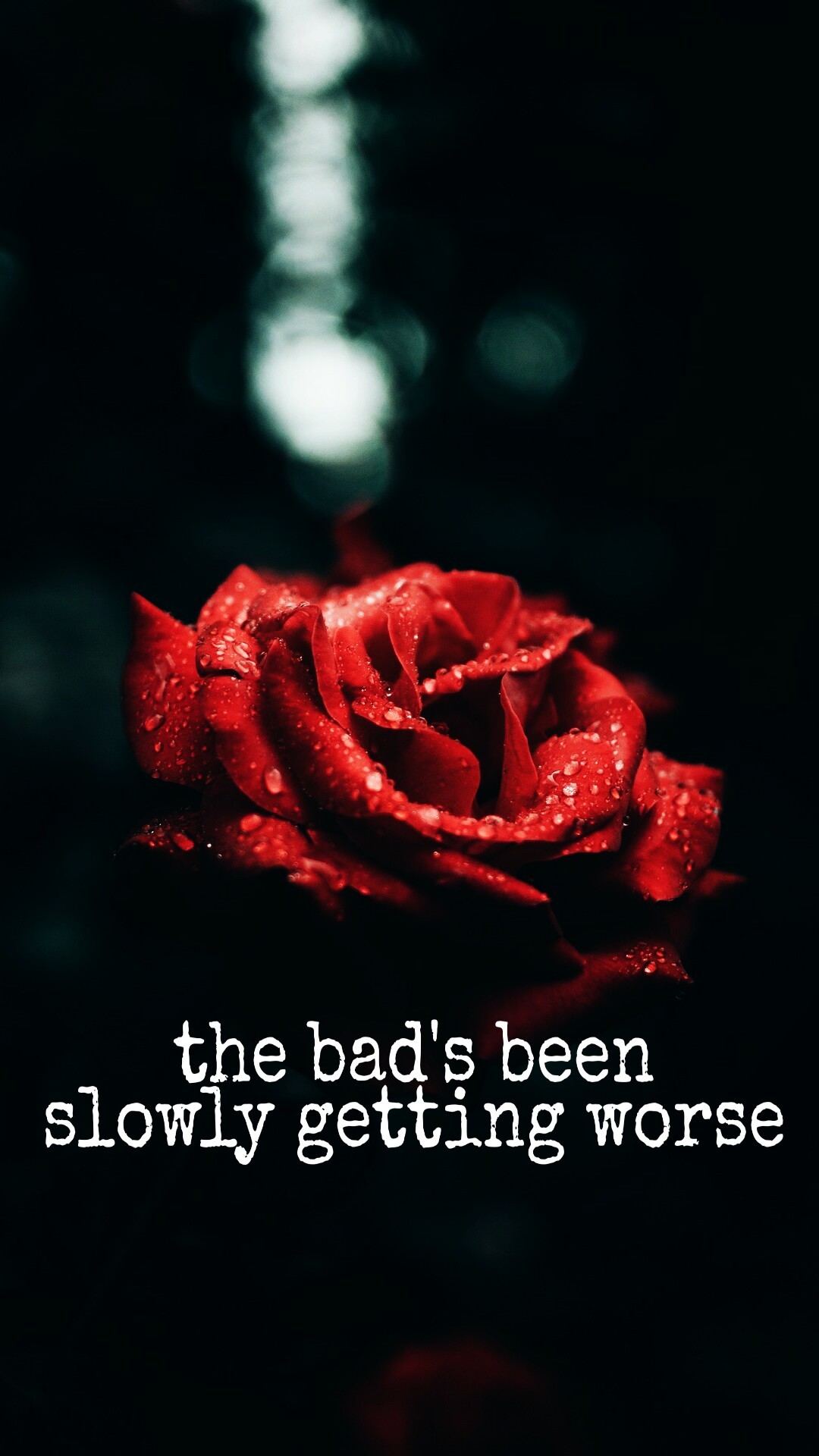 Image - Iphone Wallpaper Rose - HD Wallpaper 