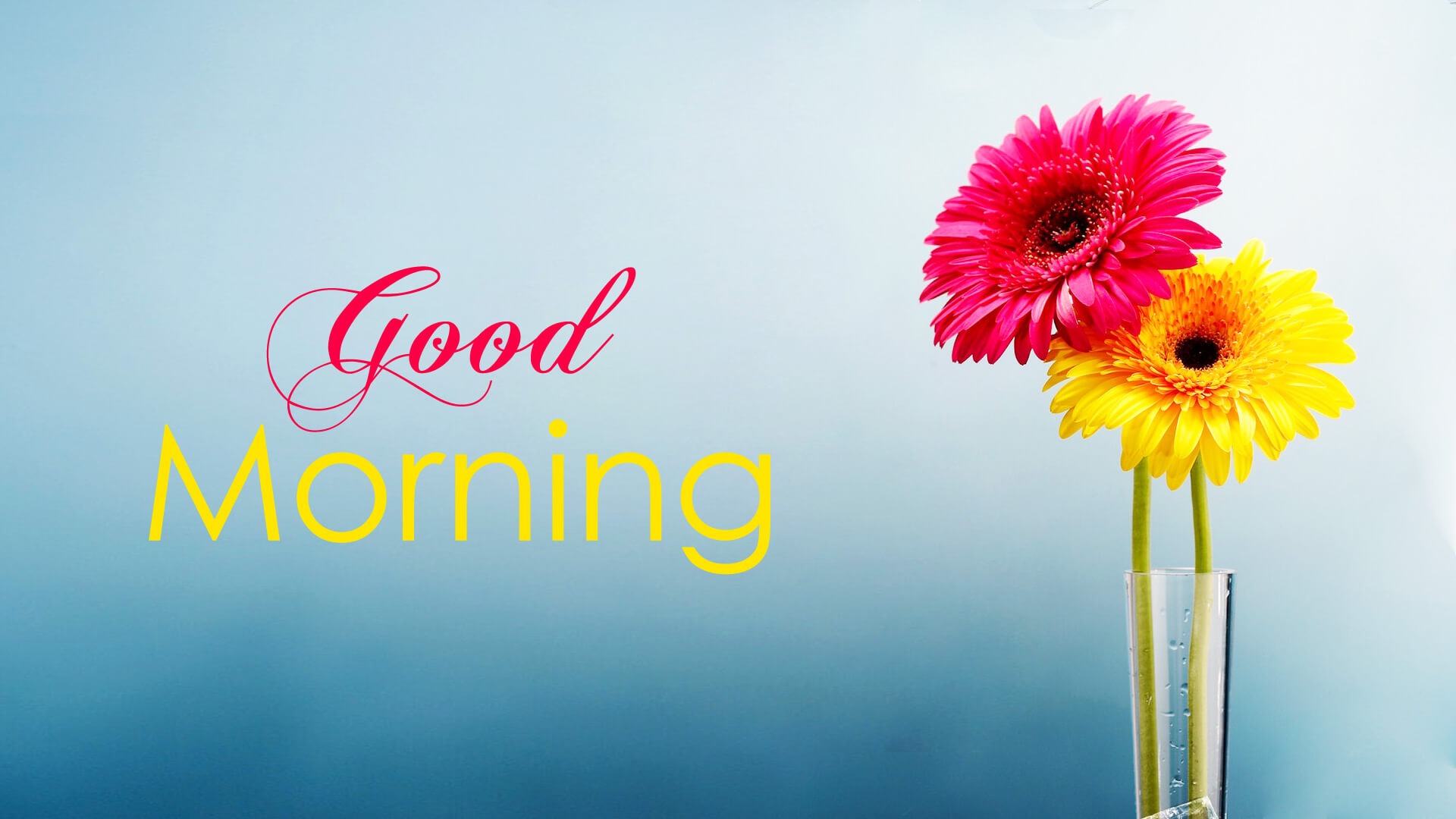 Good Morning Friday Images Wallpapers - HD Wallpaper 