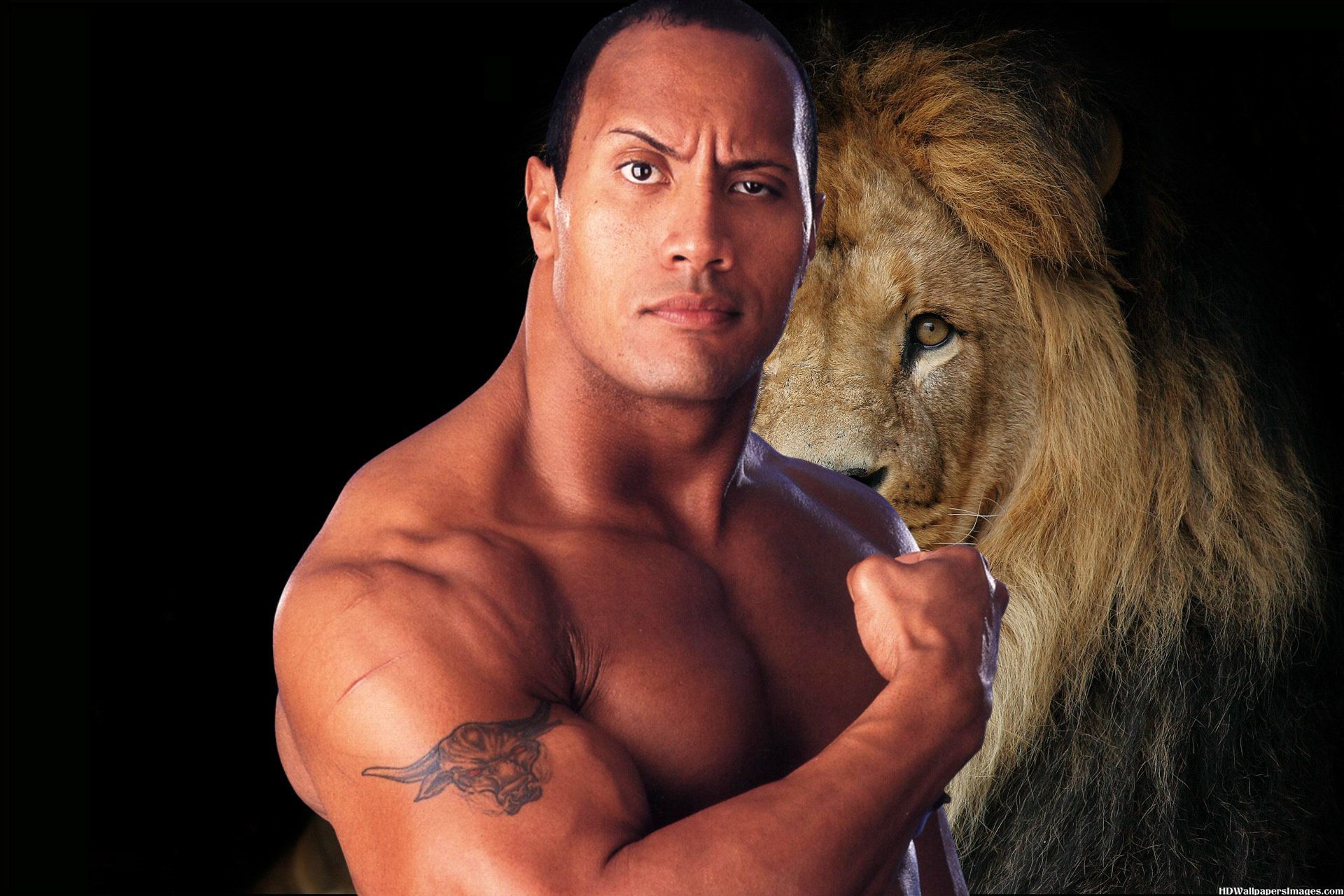 Rock Hd Wallpaper Body - HD Wallpaper 