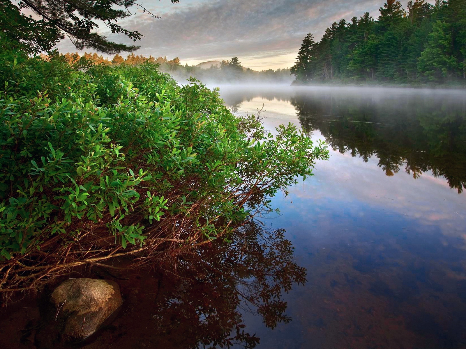 Wallpaper Bushes, Water, Fog, Rock, Steam, Forest, - Wallpaper - HD Wallpaper 