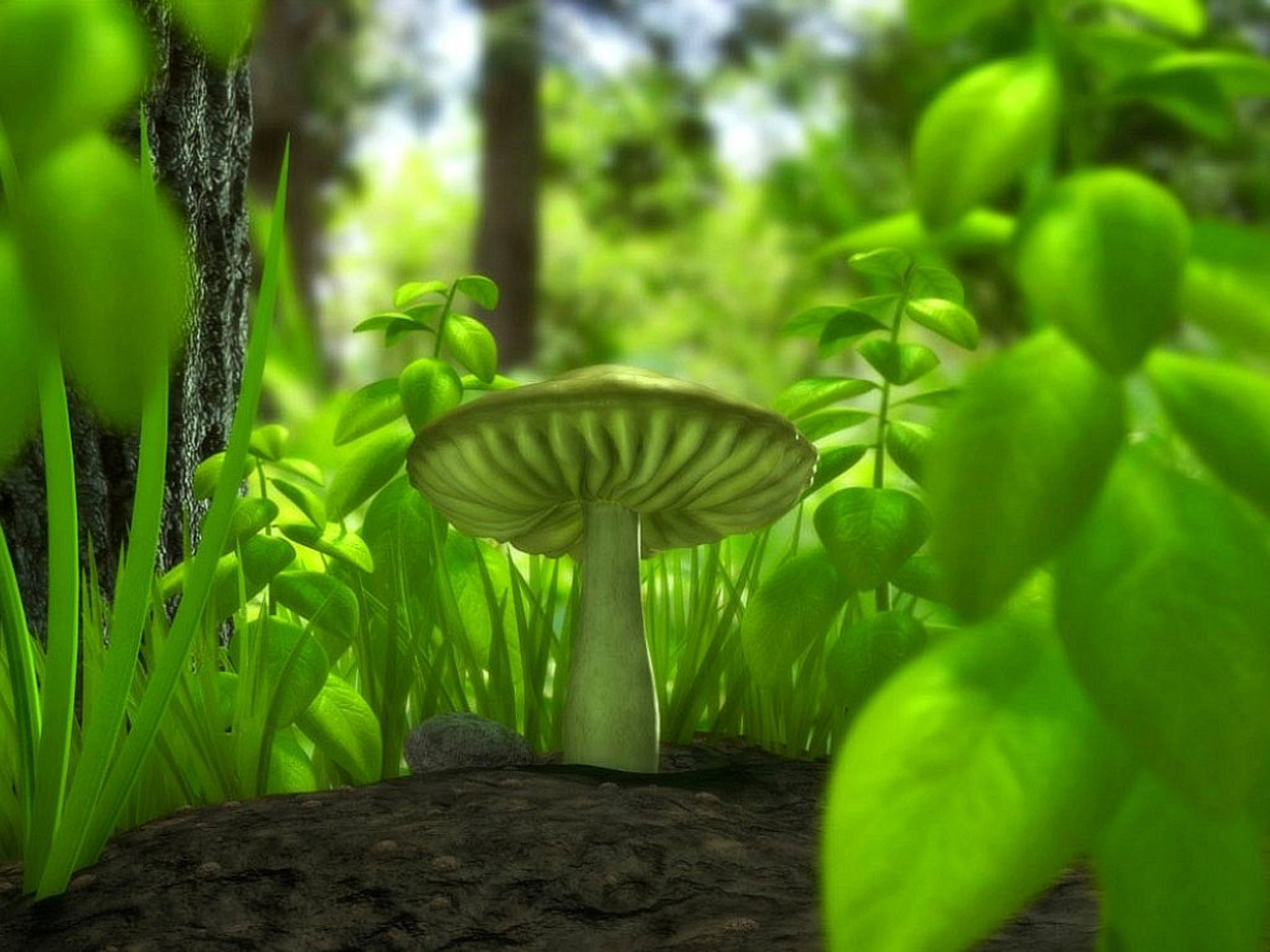 3d Nature Wallpapers For Desktop Hd - HD Wallpaper 