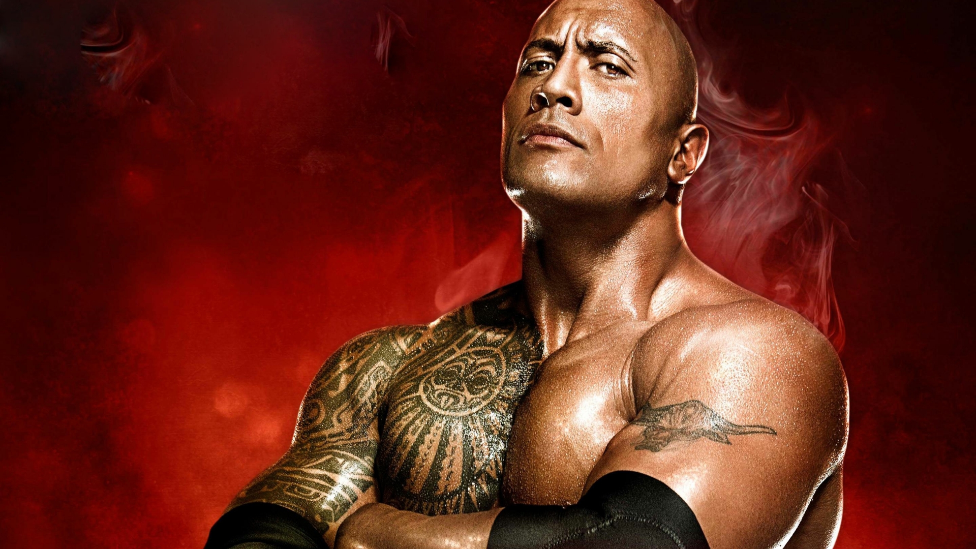Wwe Superstar Wallpaper Hd - HD Wallpaper 