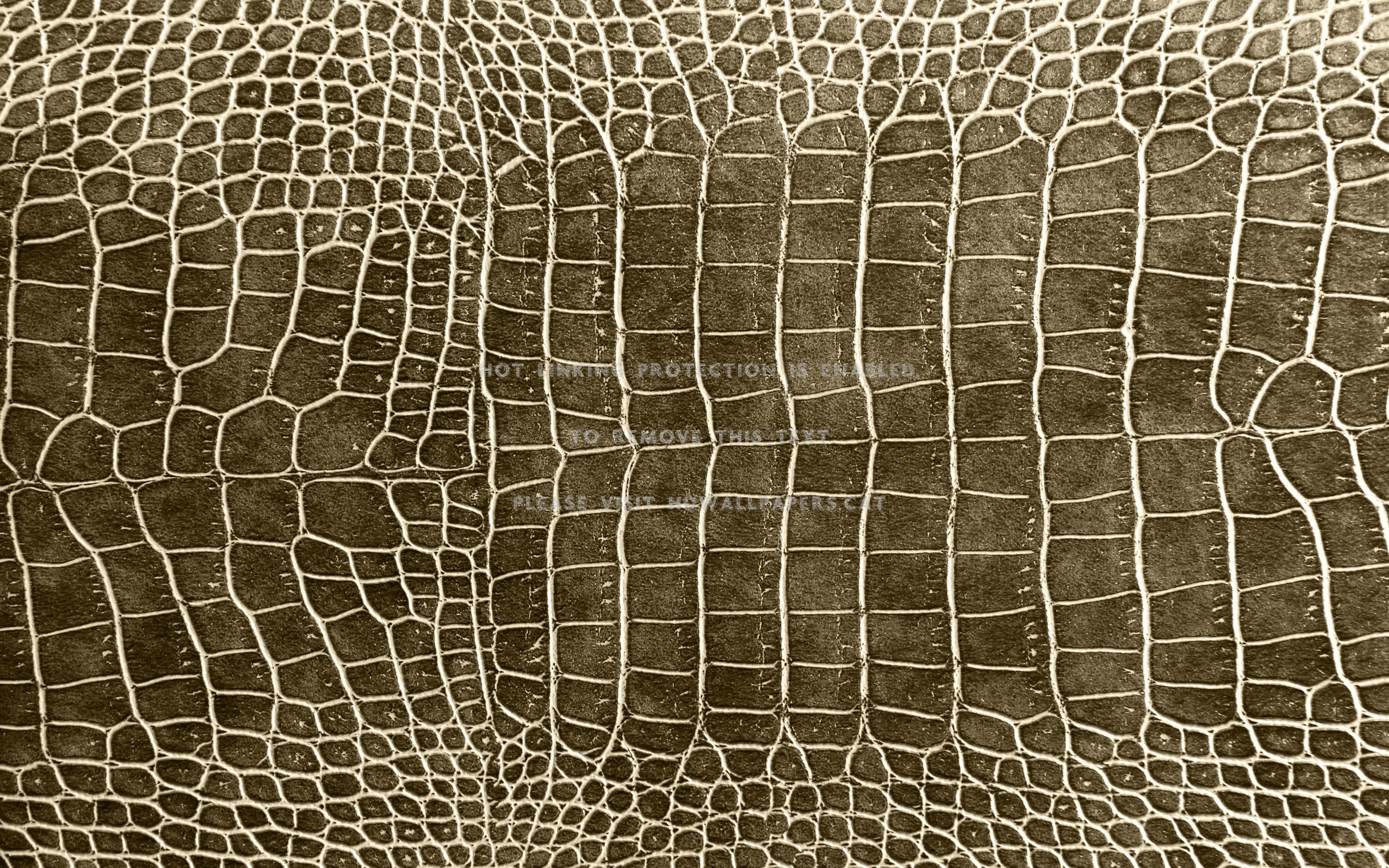 Crocodile Skin Texture Macro Abstract - Crocodile Pattern Texture - HD Wallpaper 