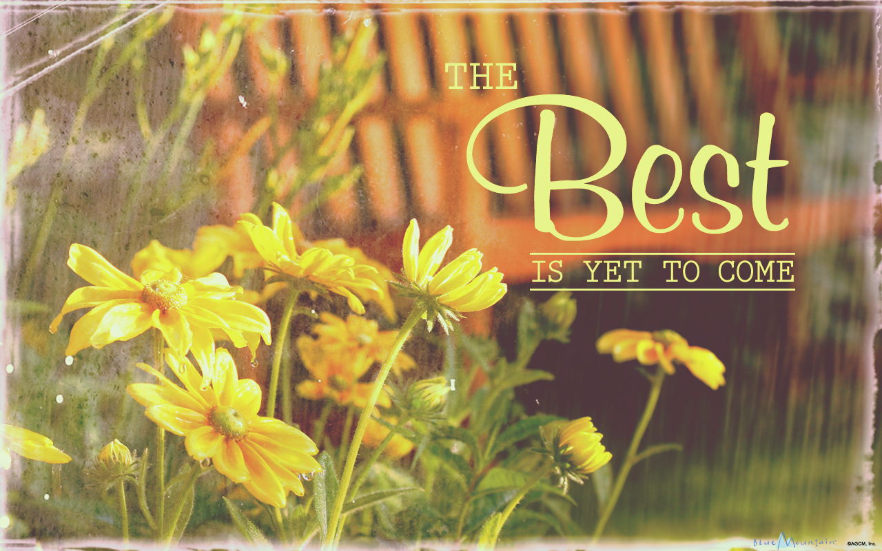 03022015 Desktop Bma - Yellow Flower With Rain - HD Wallpaper 