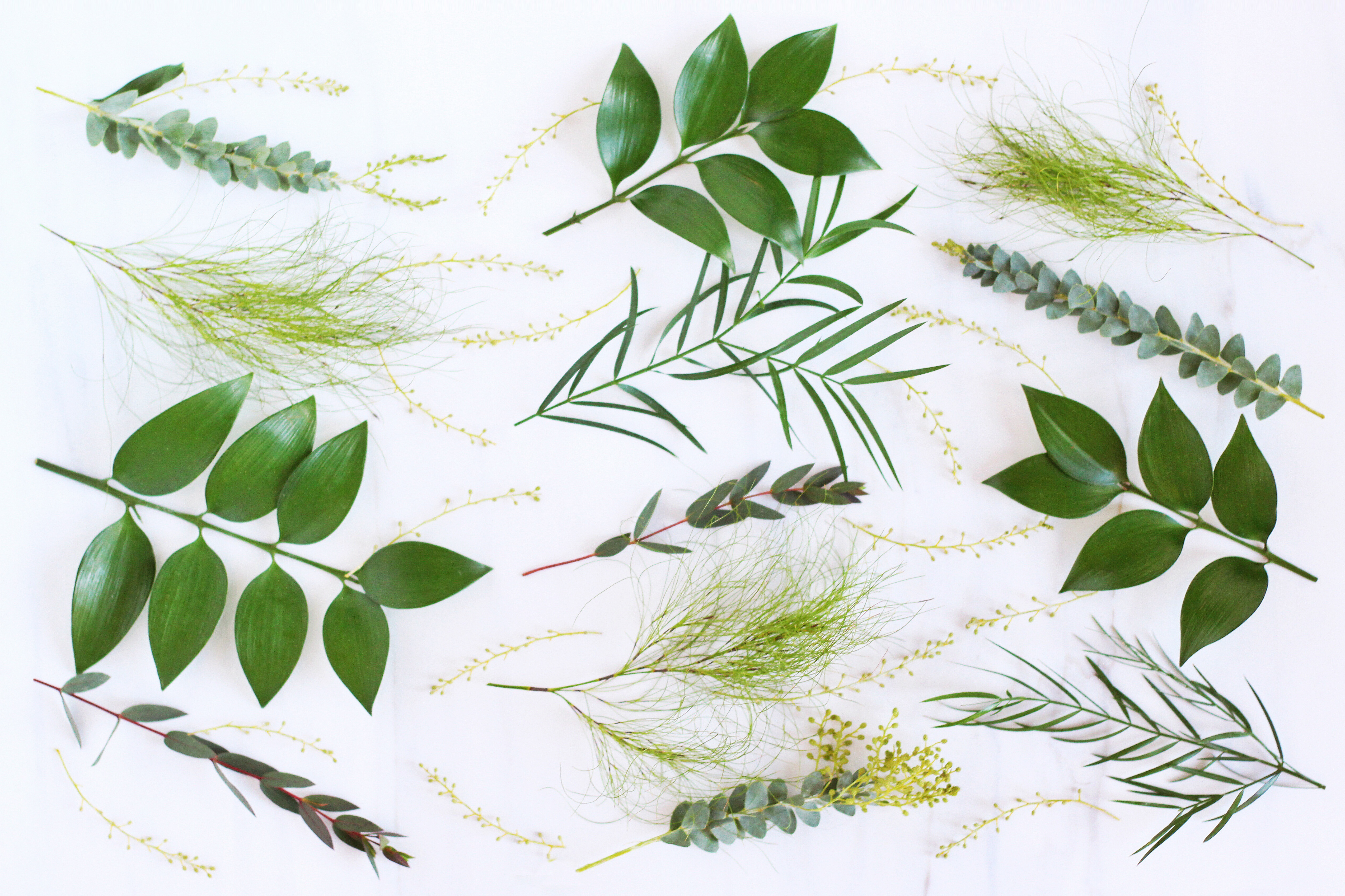 Modern Desktop Backgrounds Greenery - 5093x3393 Wallpaper Modern Desktop Backgrounds Greenery - 5093x3393 Wallpaper