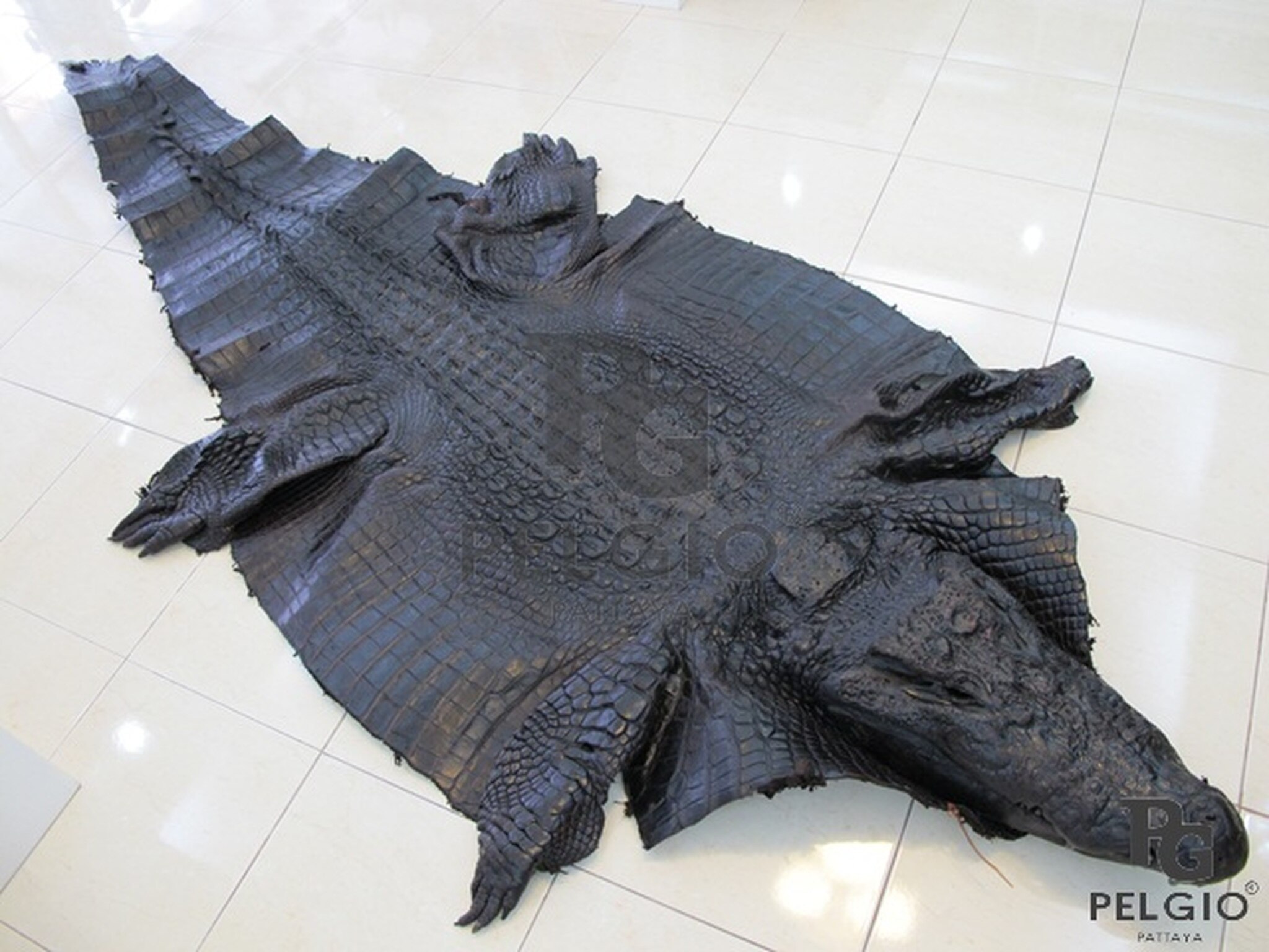 Genuine Monster Freshwater Crocodile Skin Leather With - Nile Crocodile - HD Wallpaper 