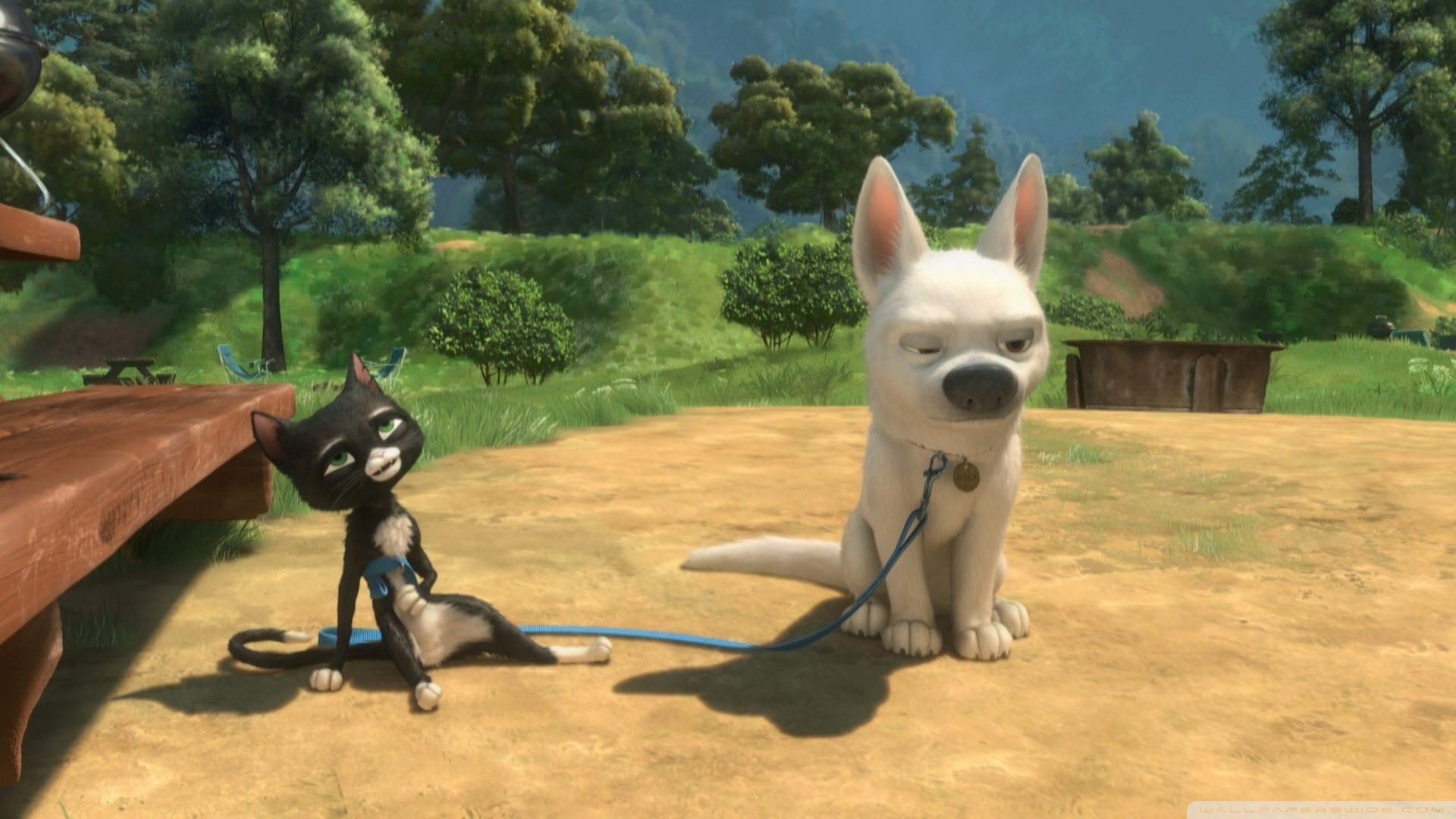 Bolt Movie Mittens Belly - HD Wallpaper 