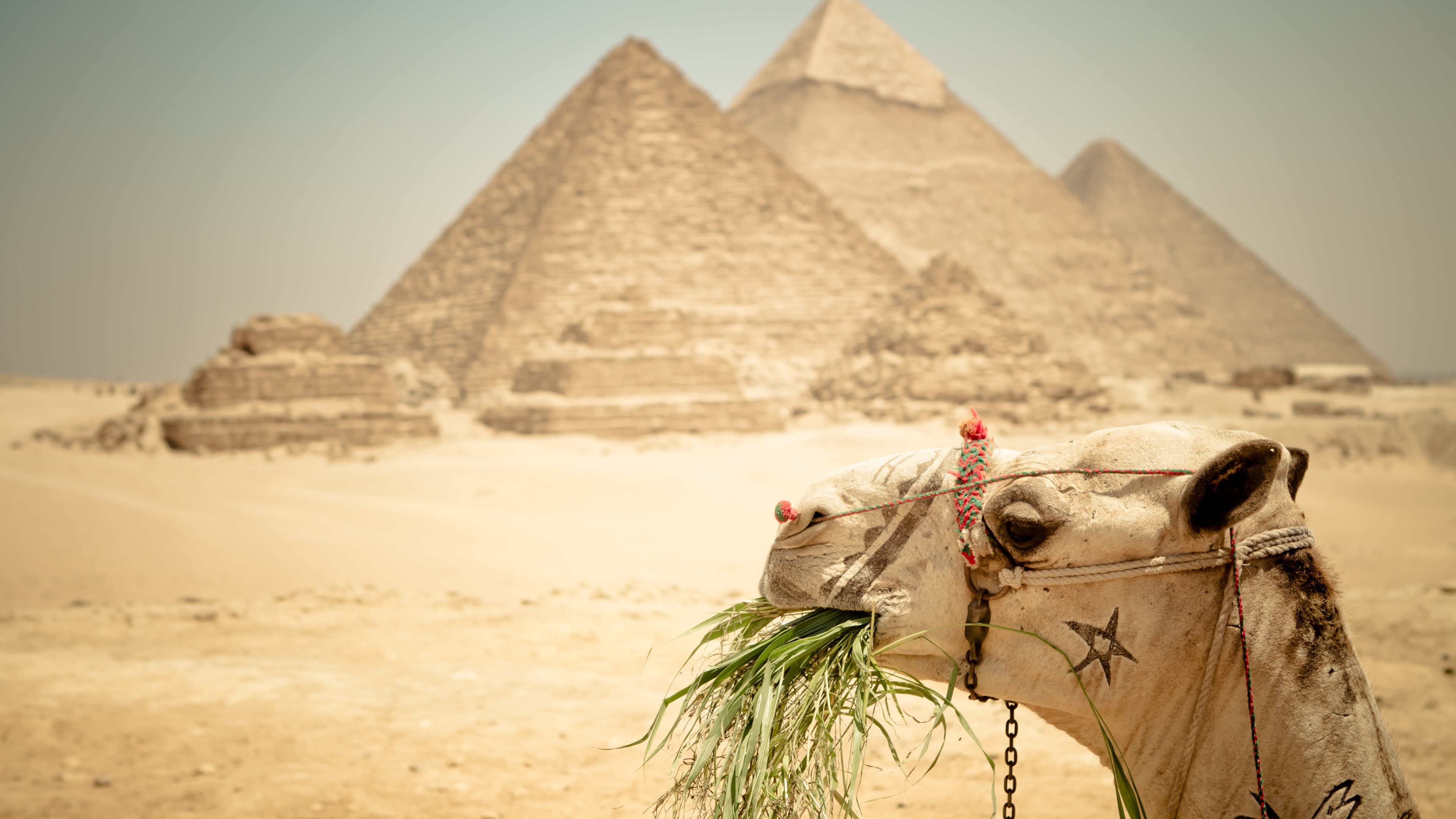 3840x2160, Ancient Egypt Wallpapers - Giza Necropolis - HD Wallpaper 